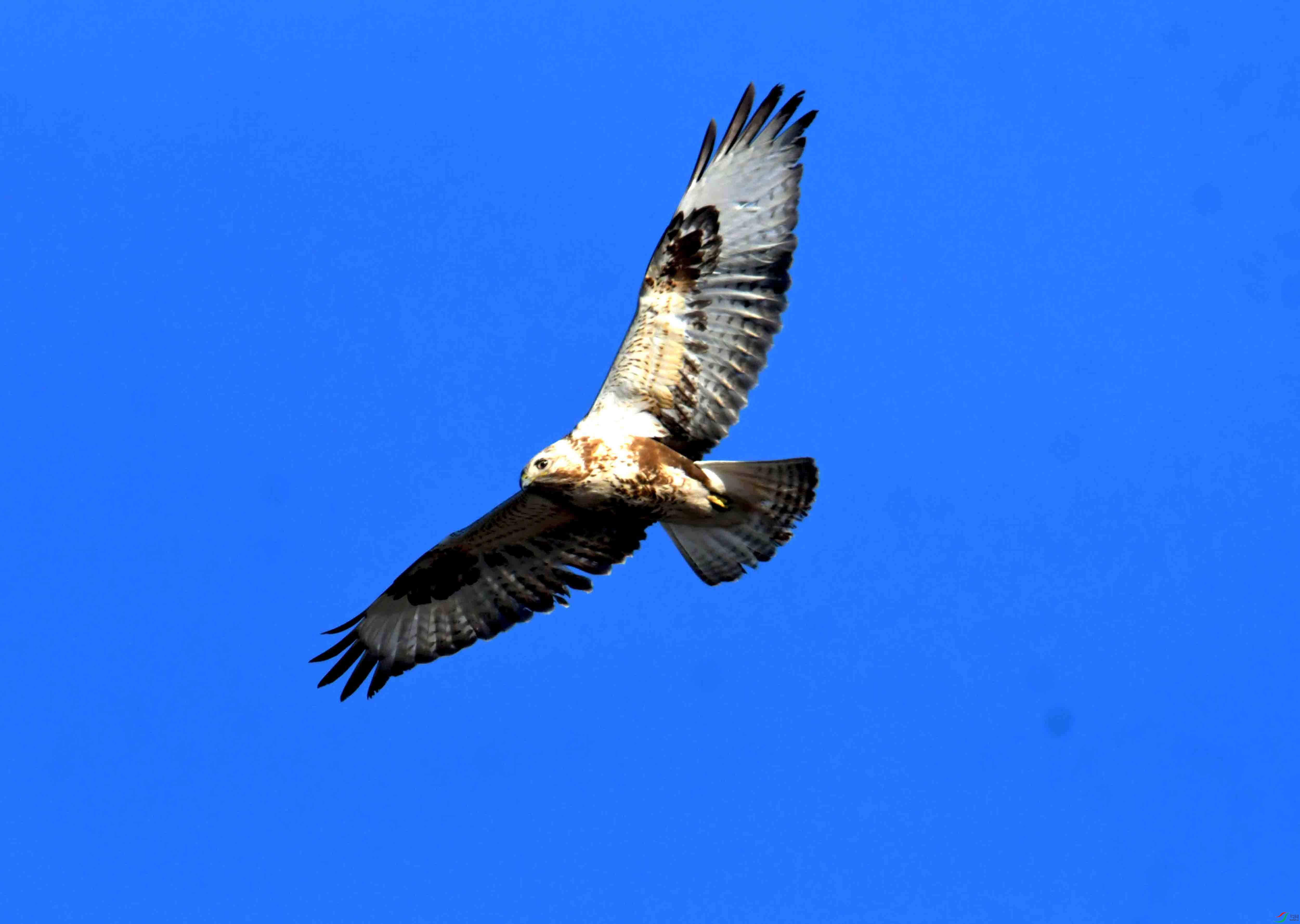 DSC_2635.JPG