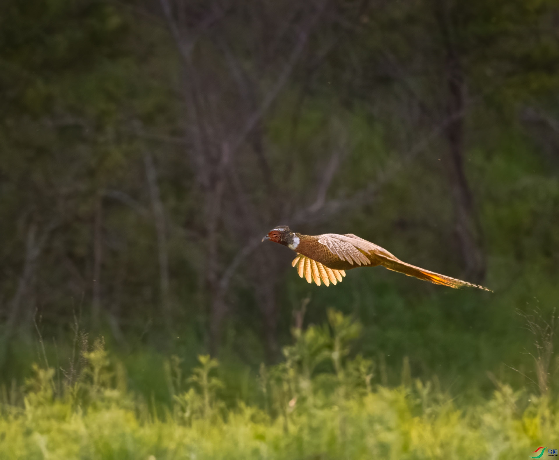 ����_598-topaz-enhance-1.9x.jpg