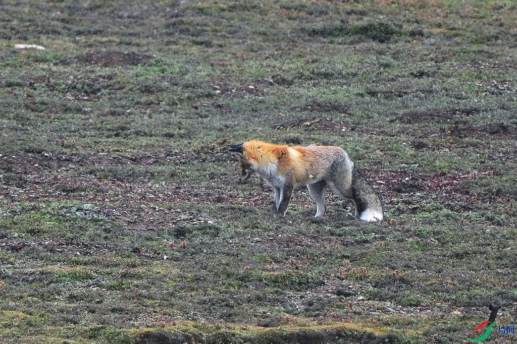 DSC01317_����.jpg