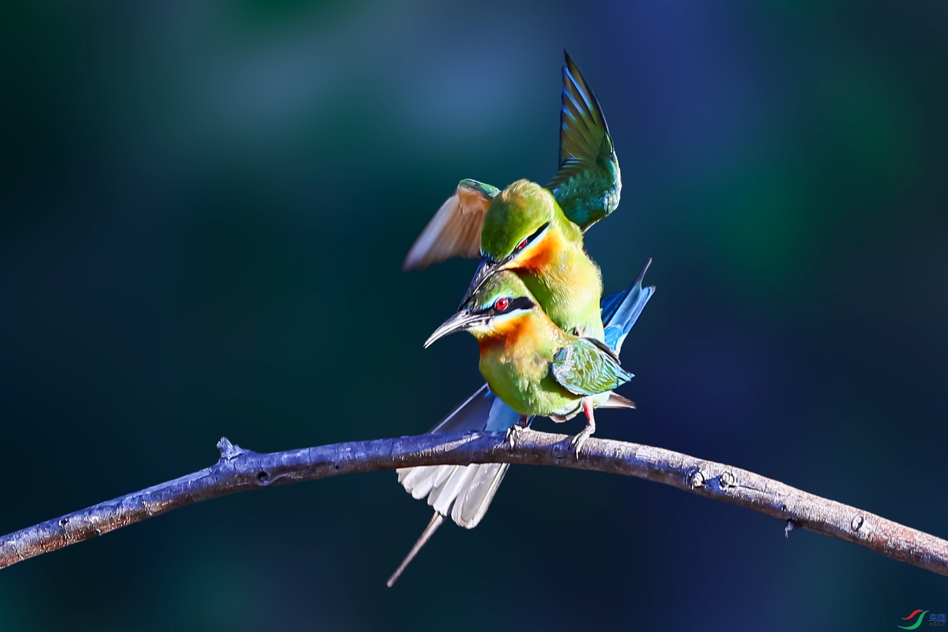 Mix_20240312_110020.png