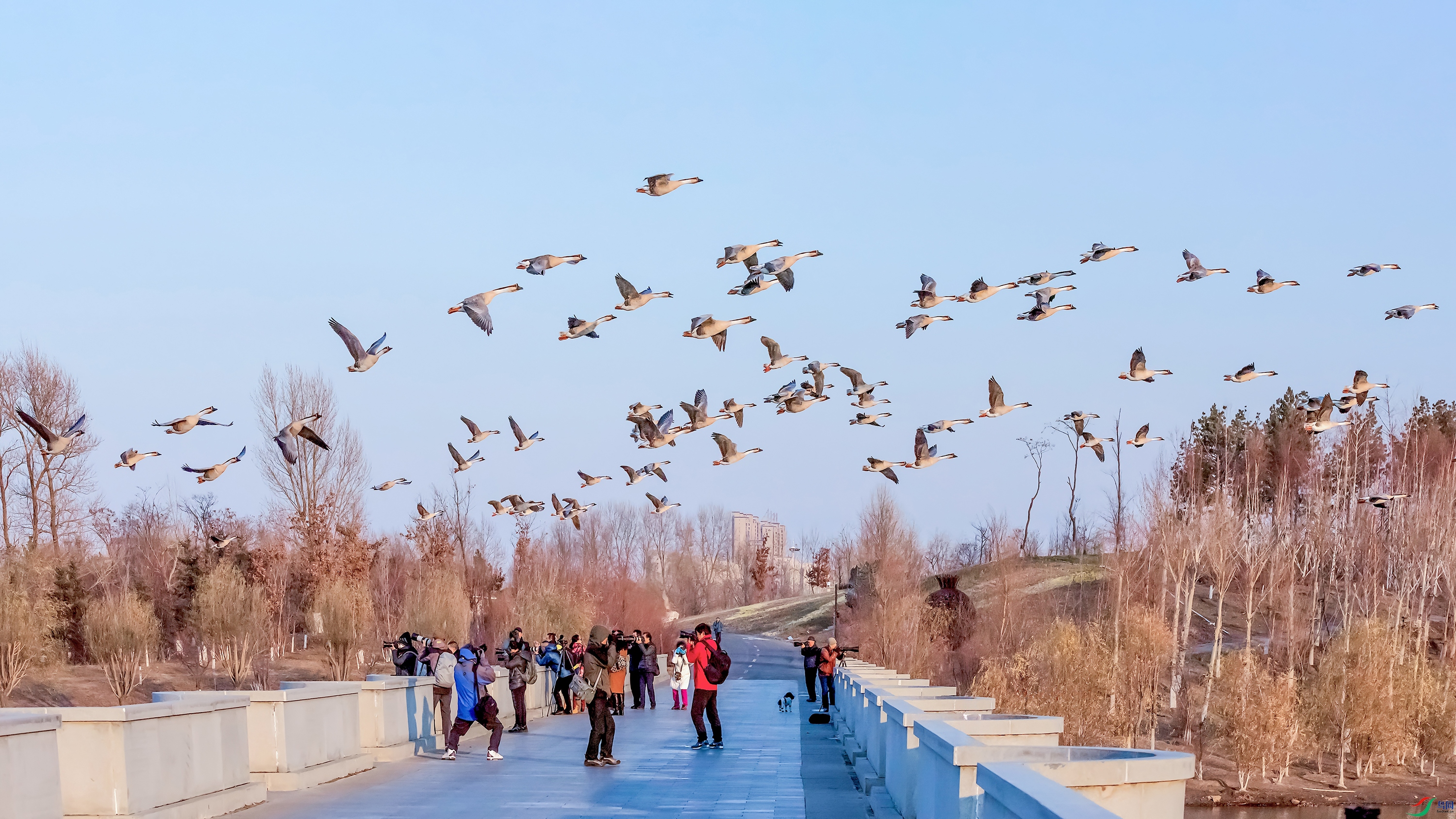 DSC_3847A_.jpg