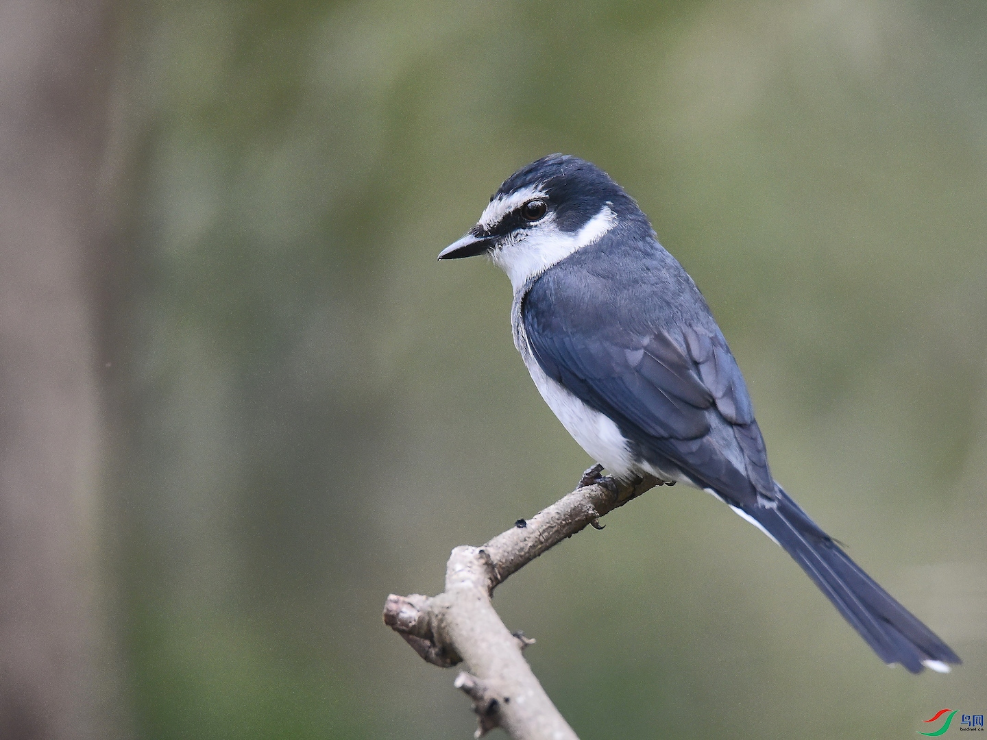 DSC_2767.jpg