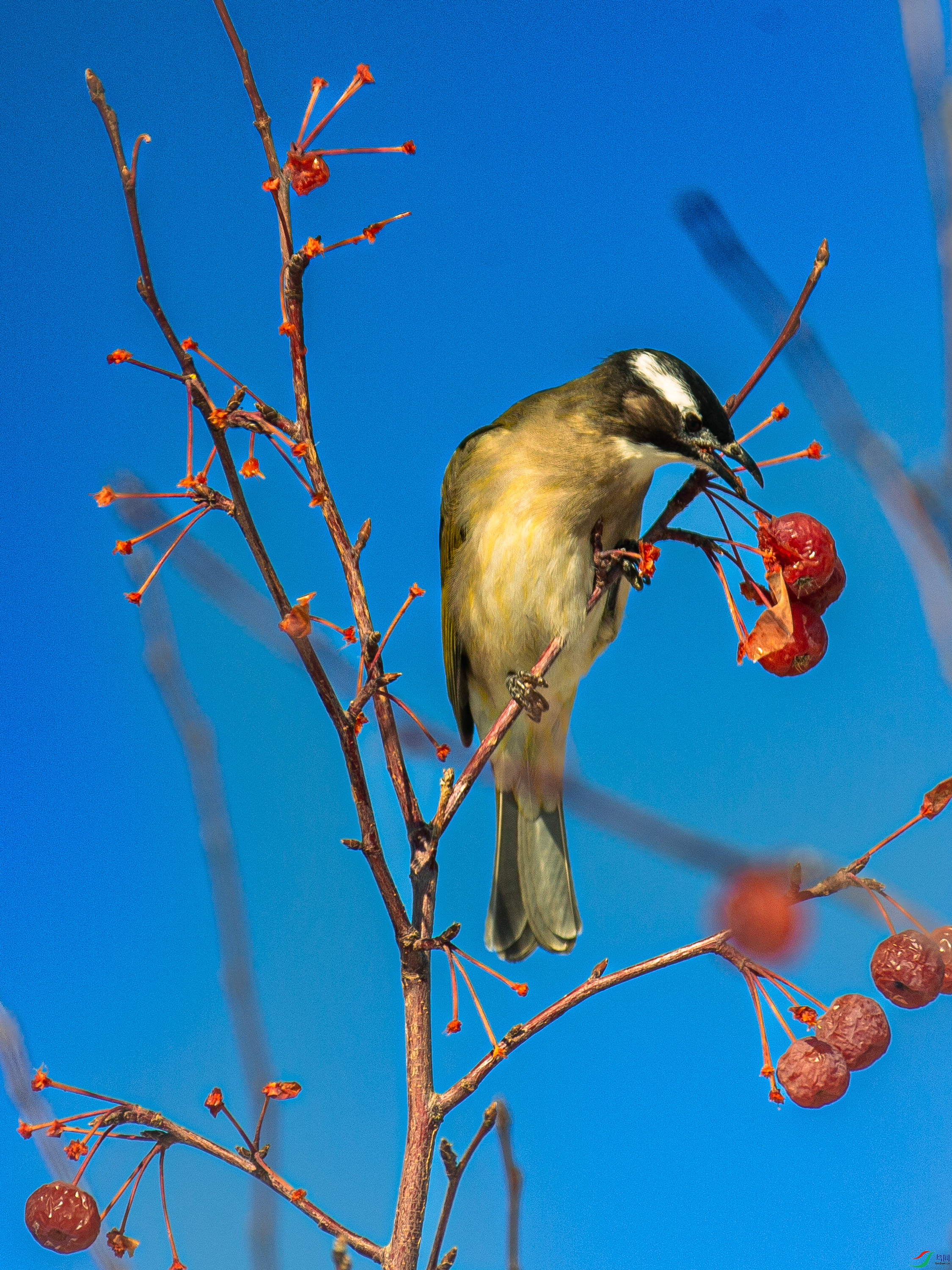 ���ԡ��⡱ 2