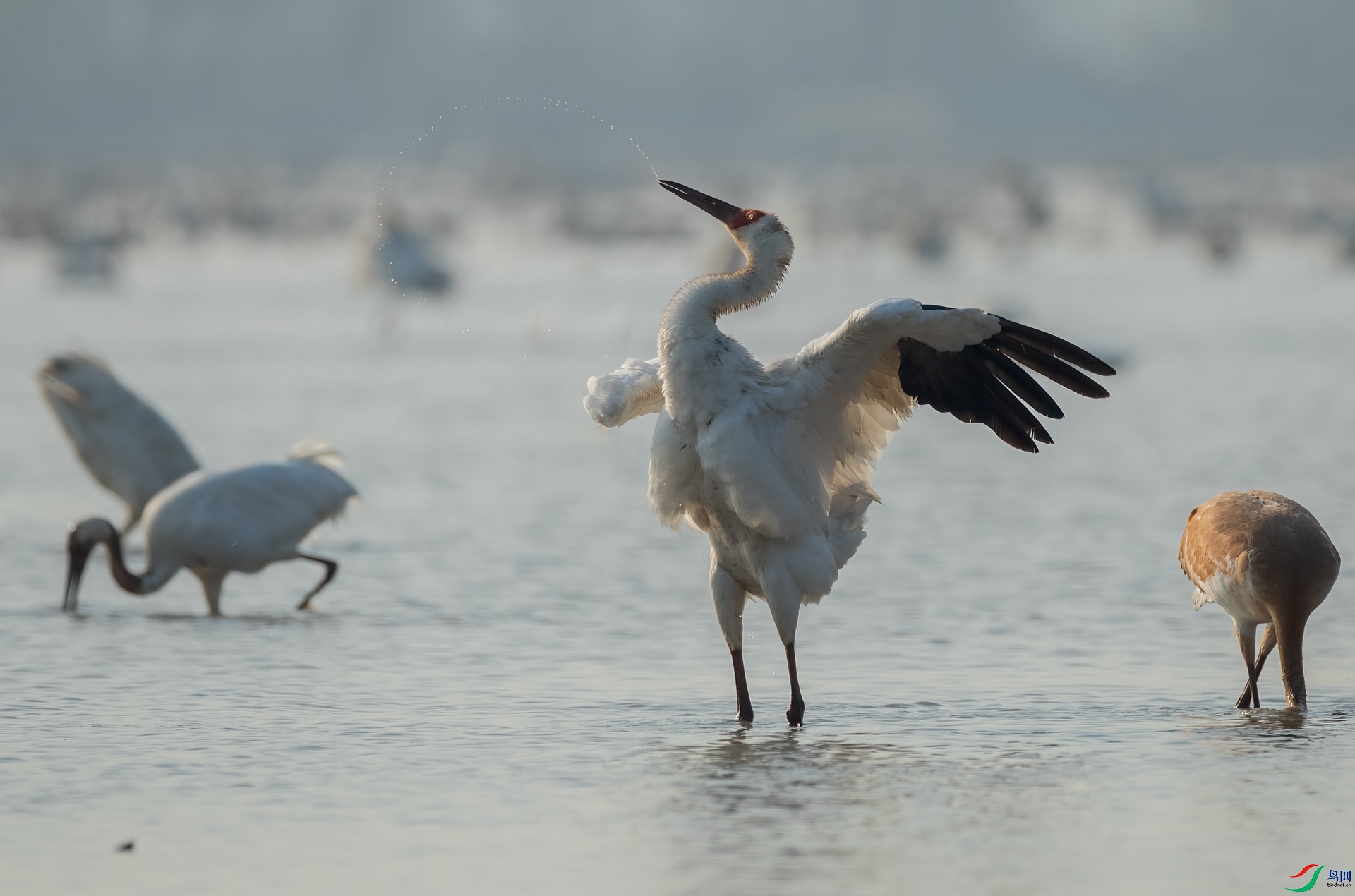 B86I1081 _����.jpg