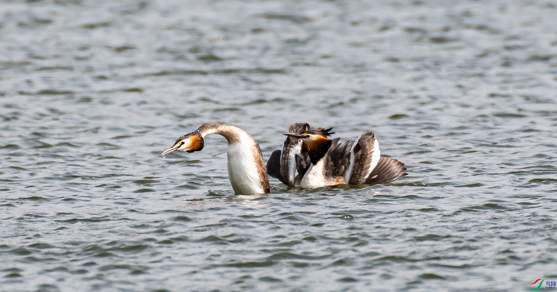 DSC_1671.jpg