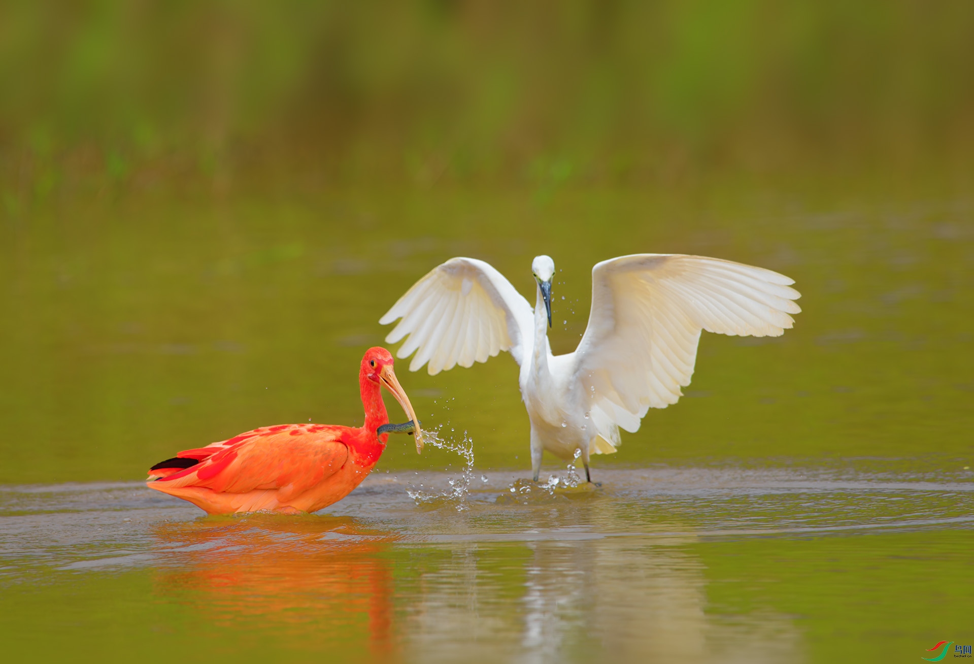 DSC_3141-1.jpg