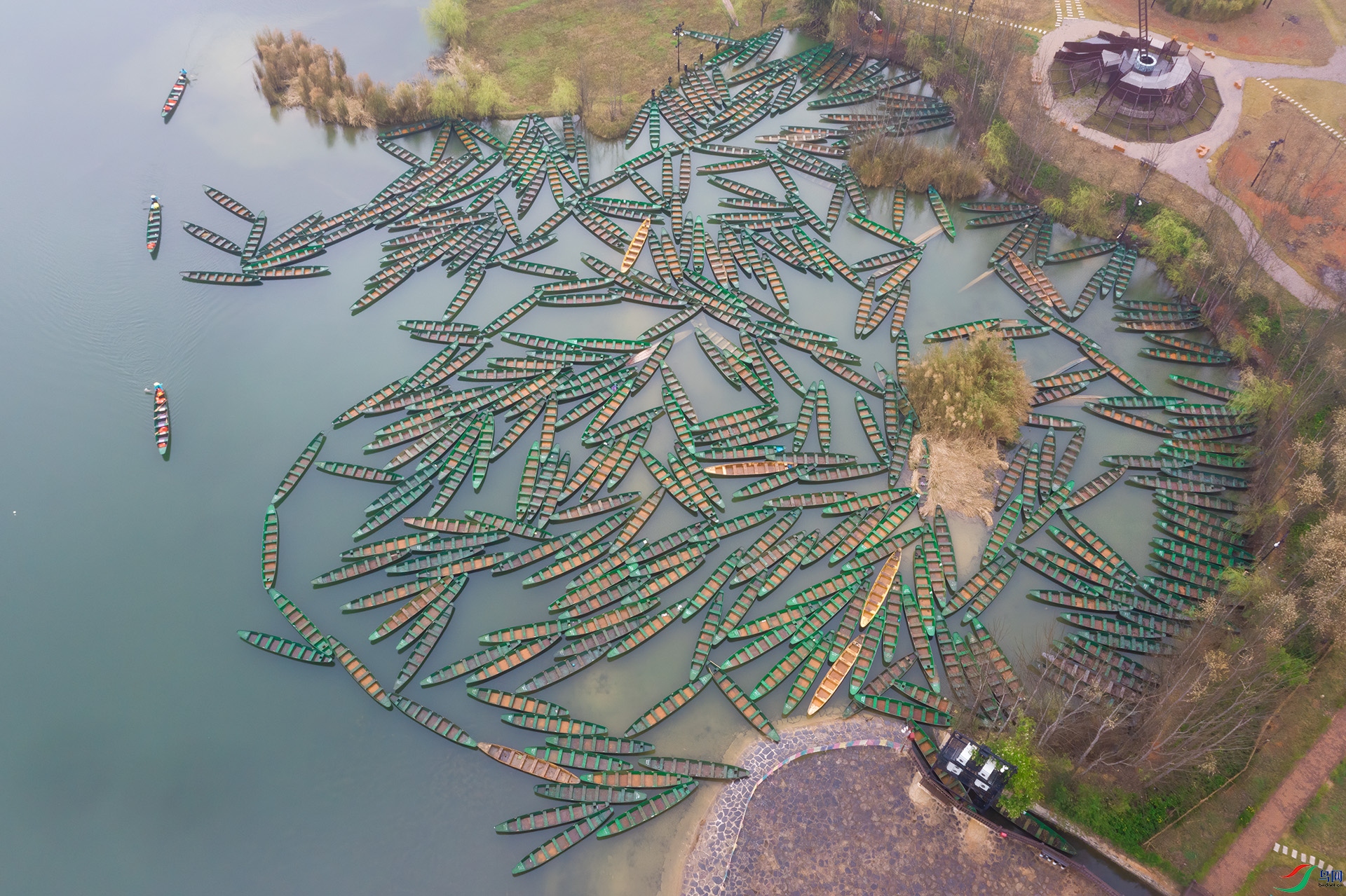 DJI_0842 -1.jpg