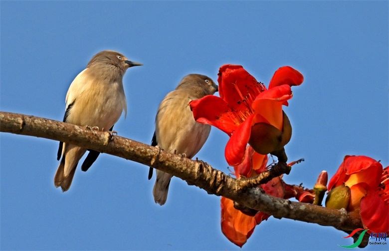 DSC_2274.JPG