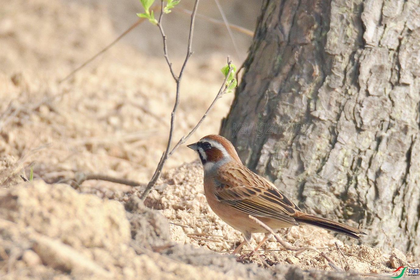 ����ü���M