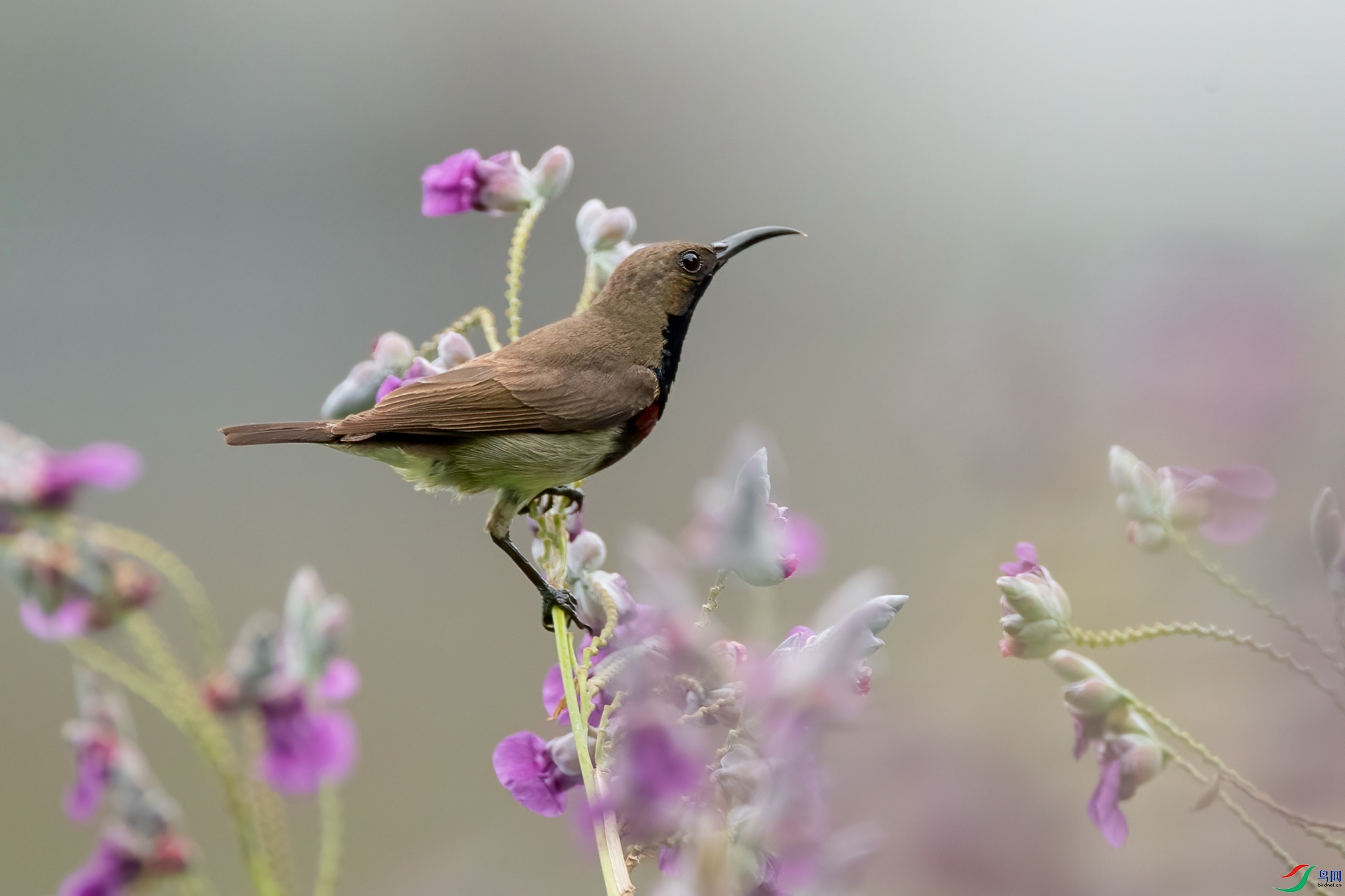 B86I0111 _����.jpg