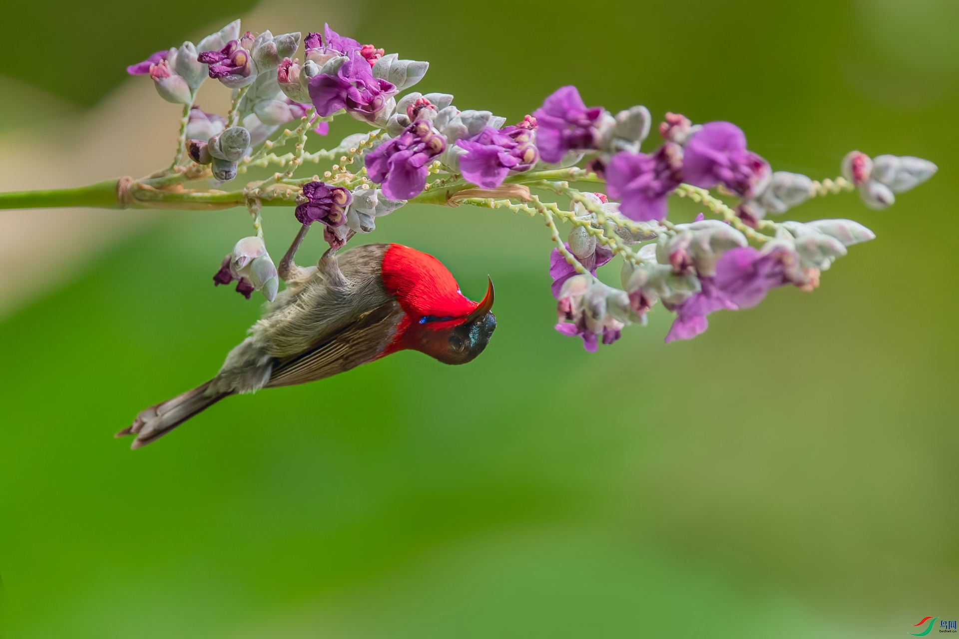 B86I0062 _����.jpg