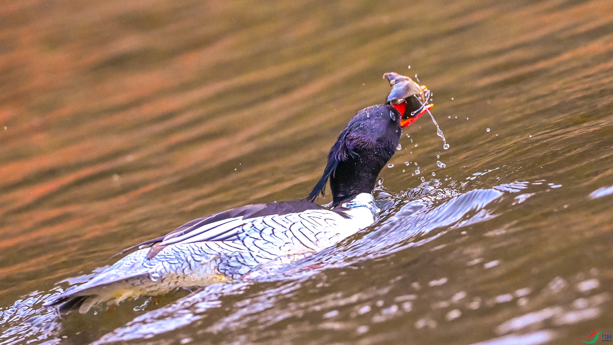 0362 ����.jpg