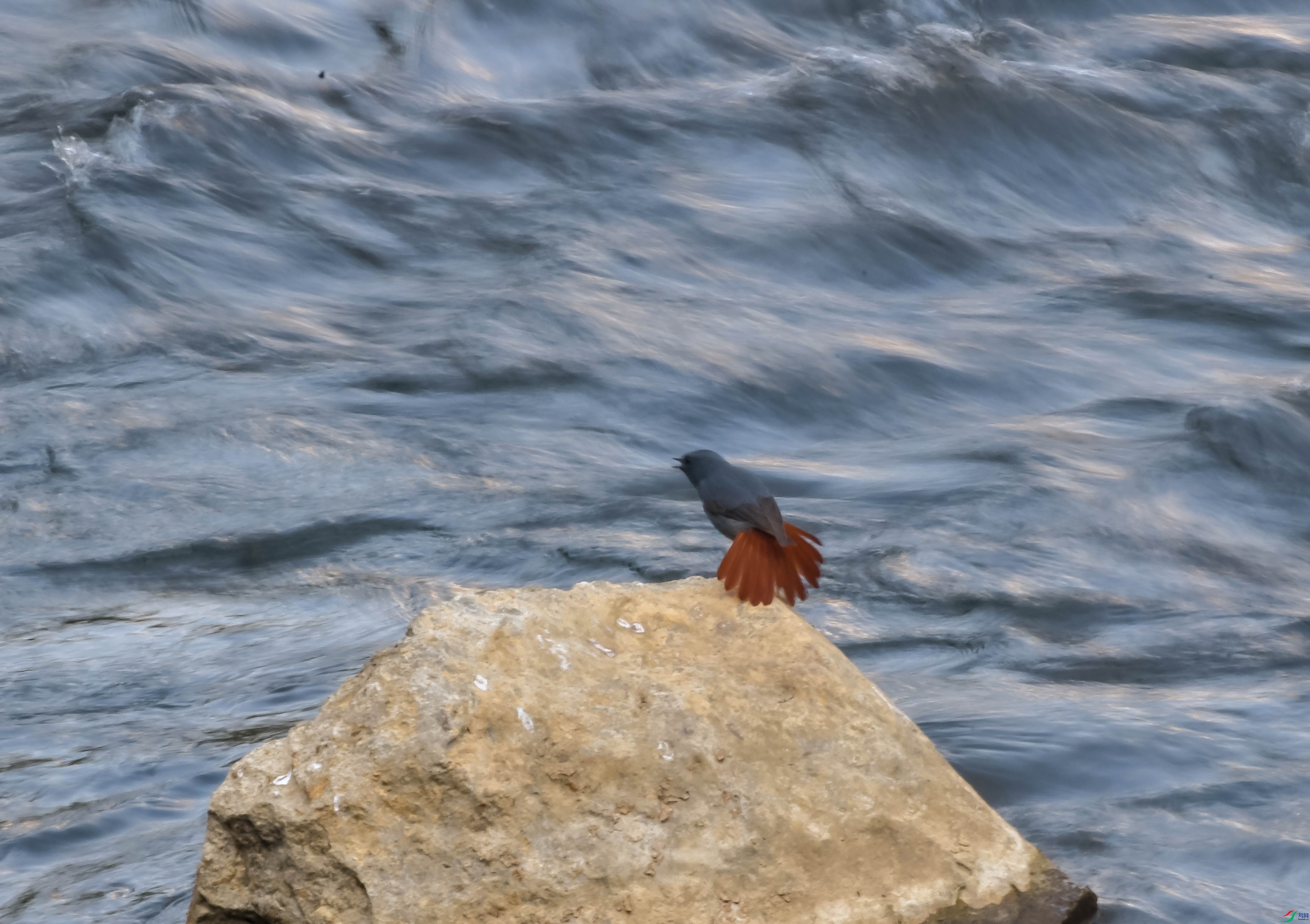 DSC_6276.JPG