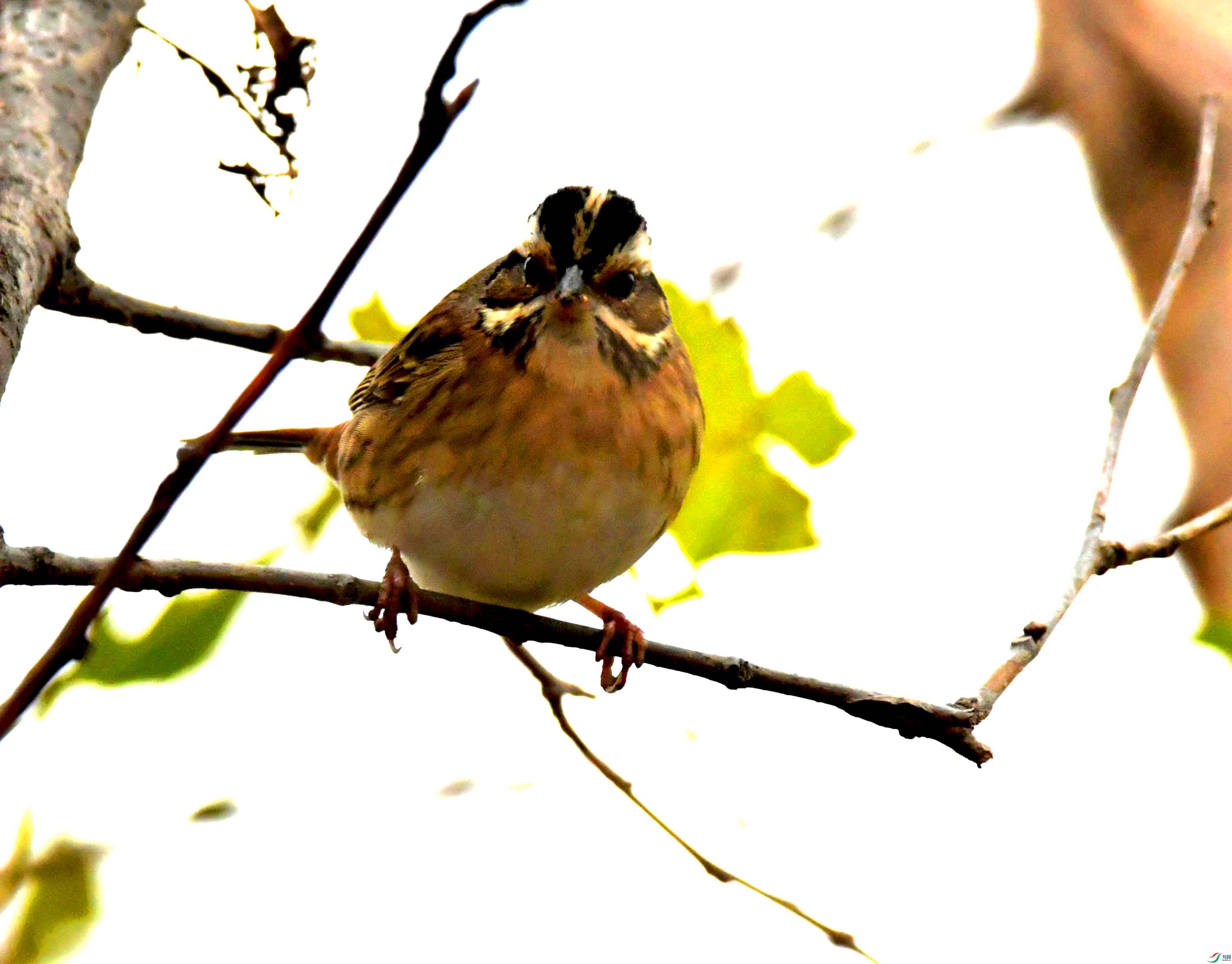 DSC_5604.JPG