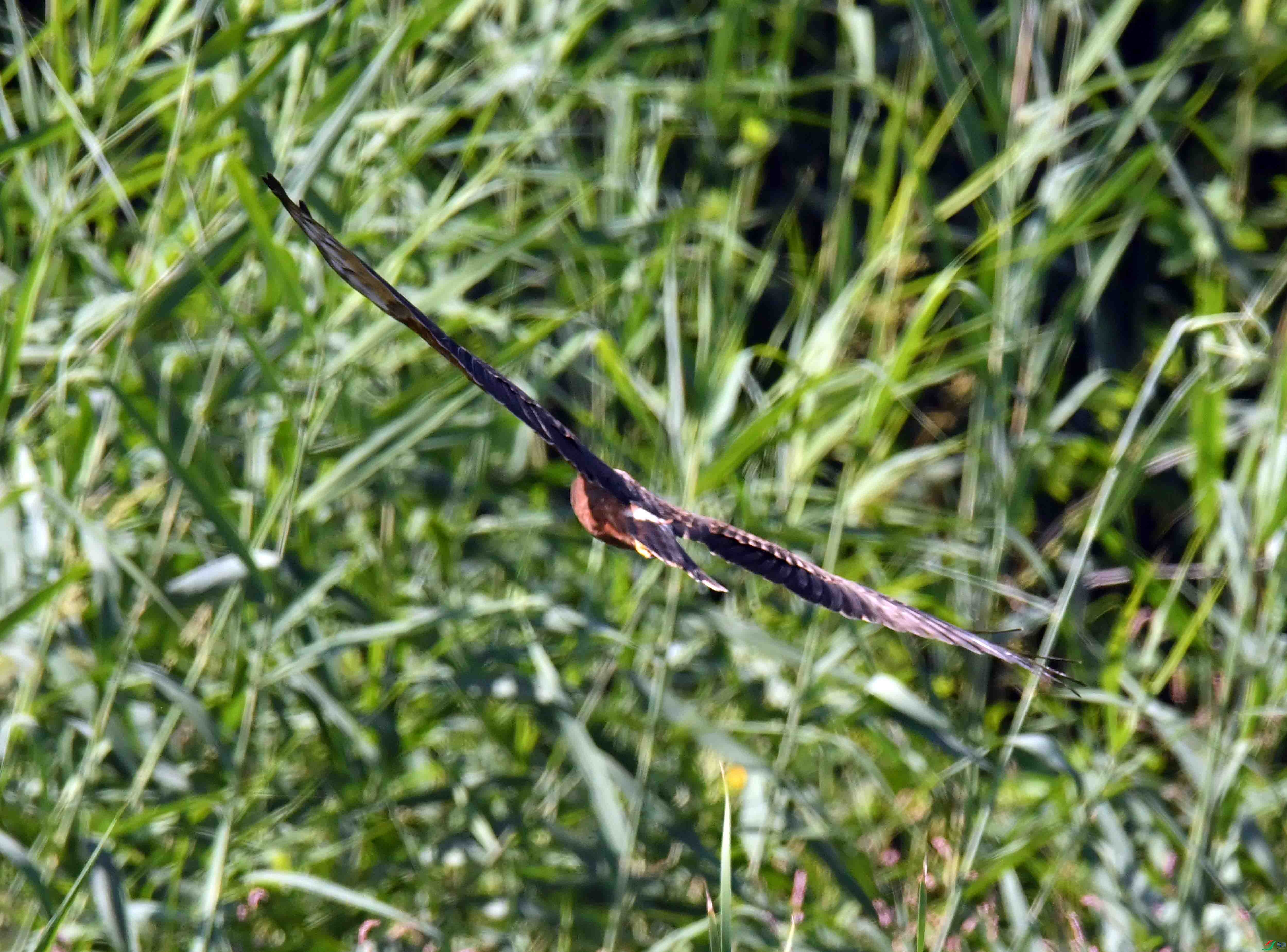 DSC_8552.JPG