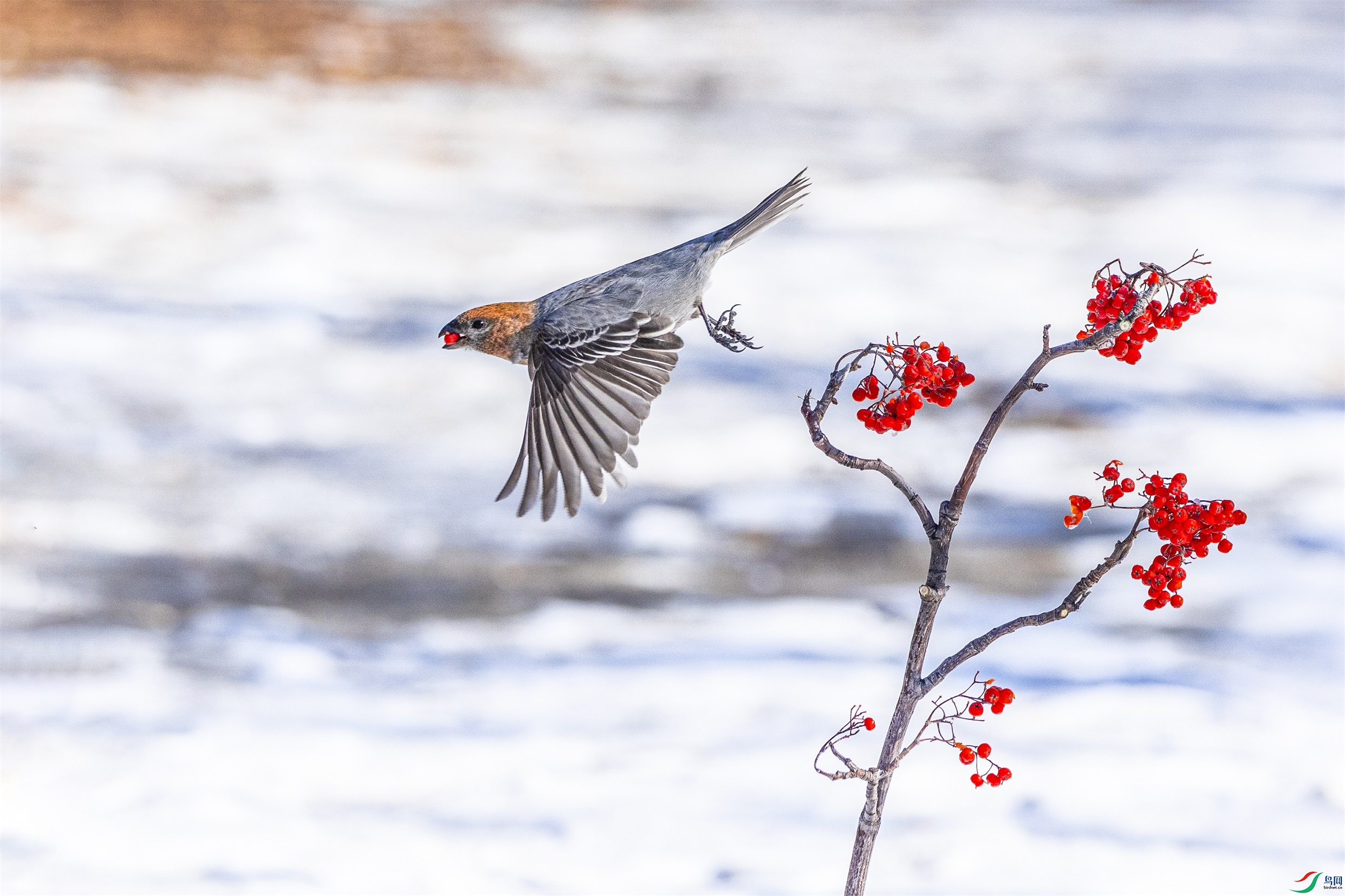 1K3A5445 ����1.jpg