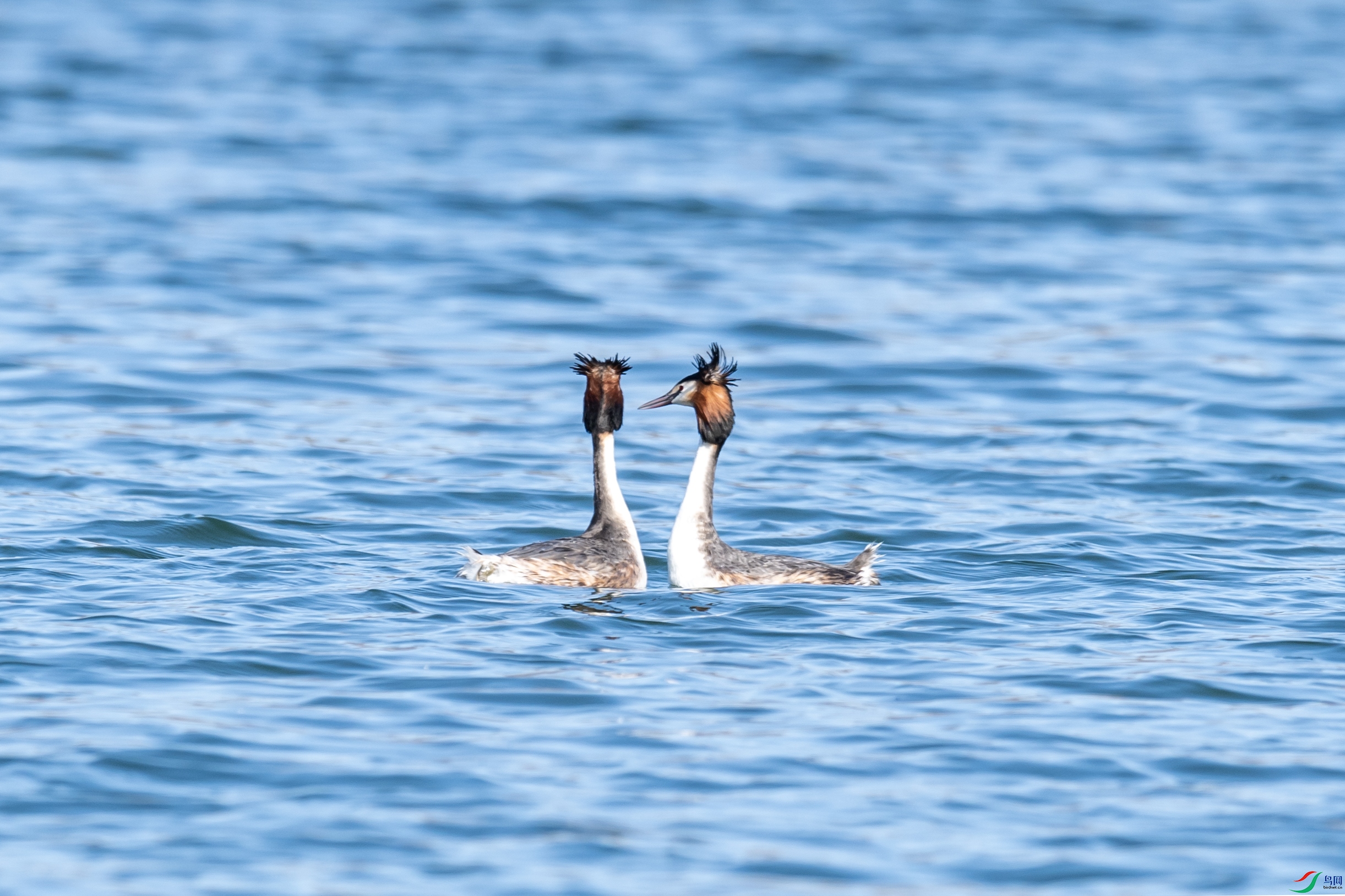 DSC_1322 ����.jpg