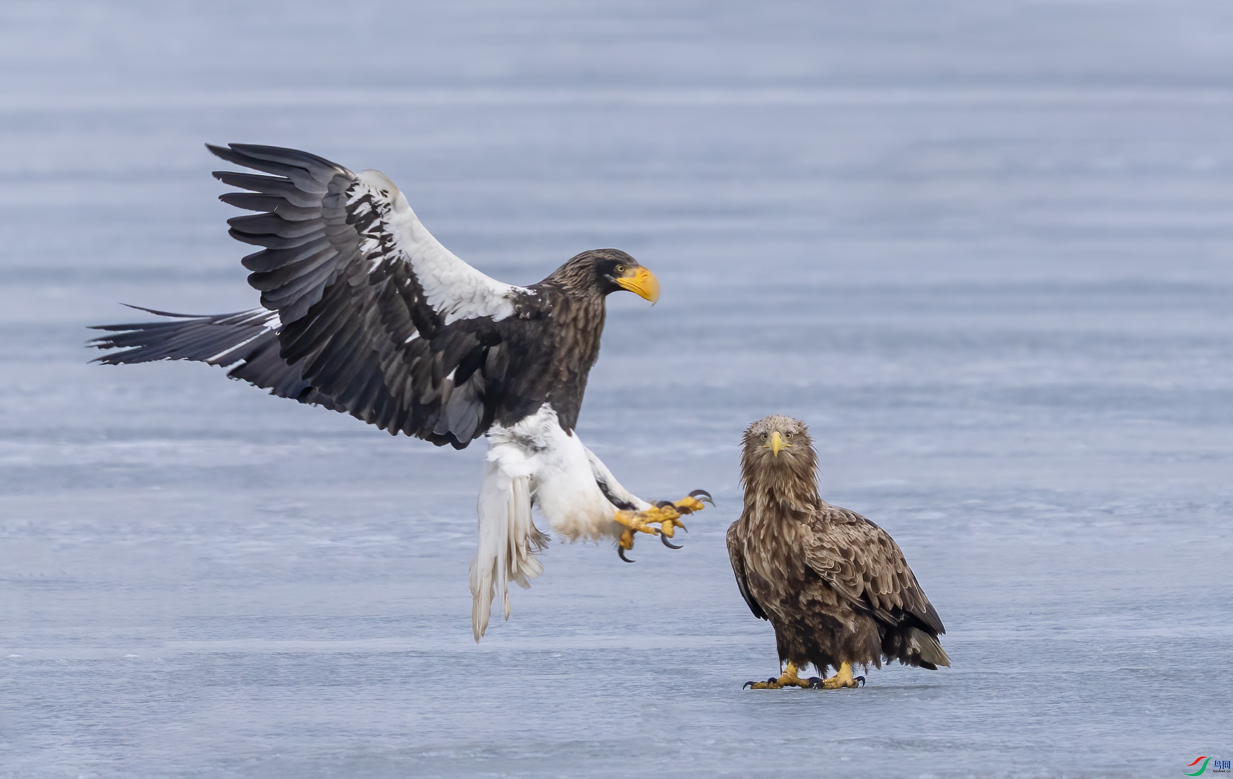 DSC07391 ����.jpg