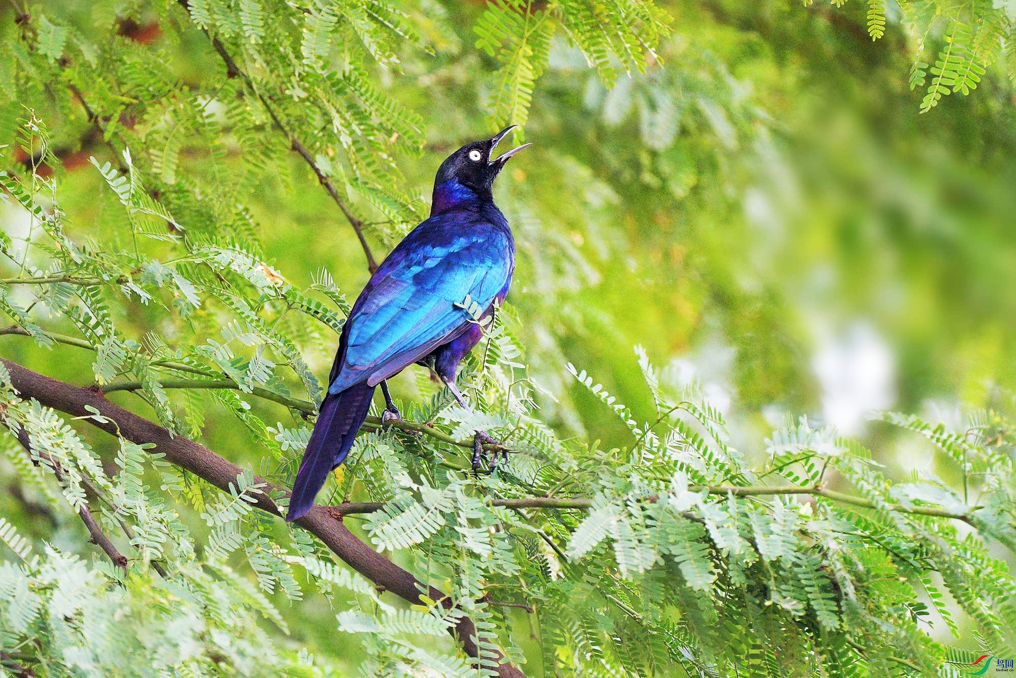 DSC_0355_.jpg