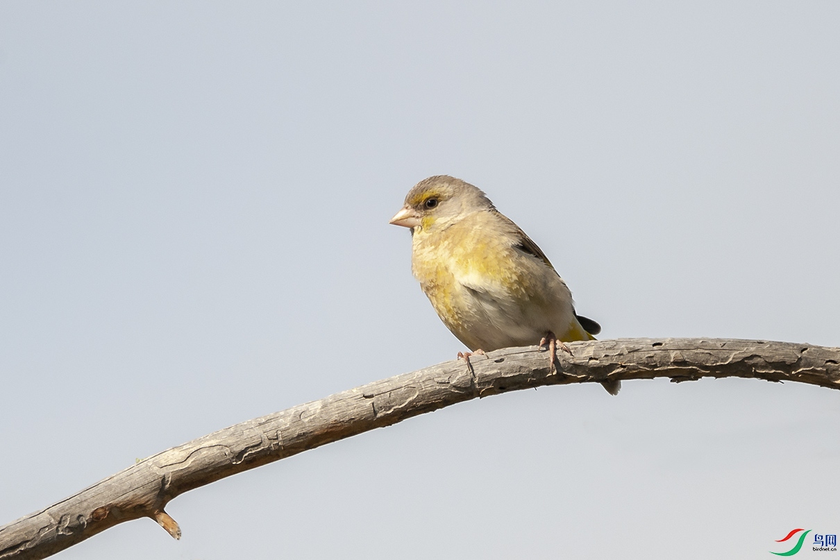 DSC_0113.jpg