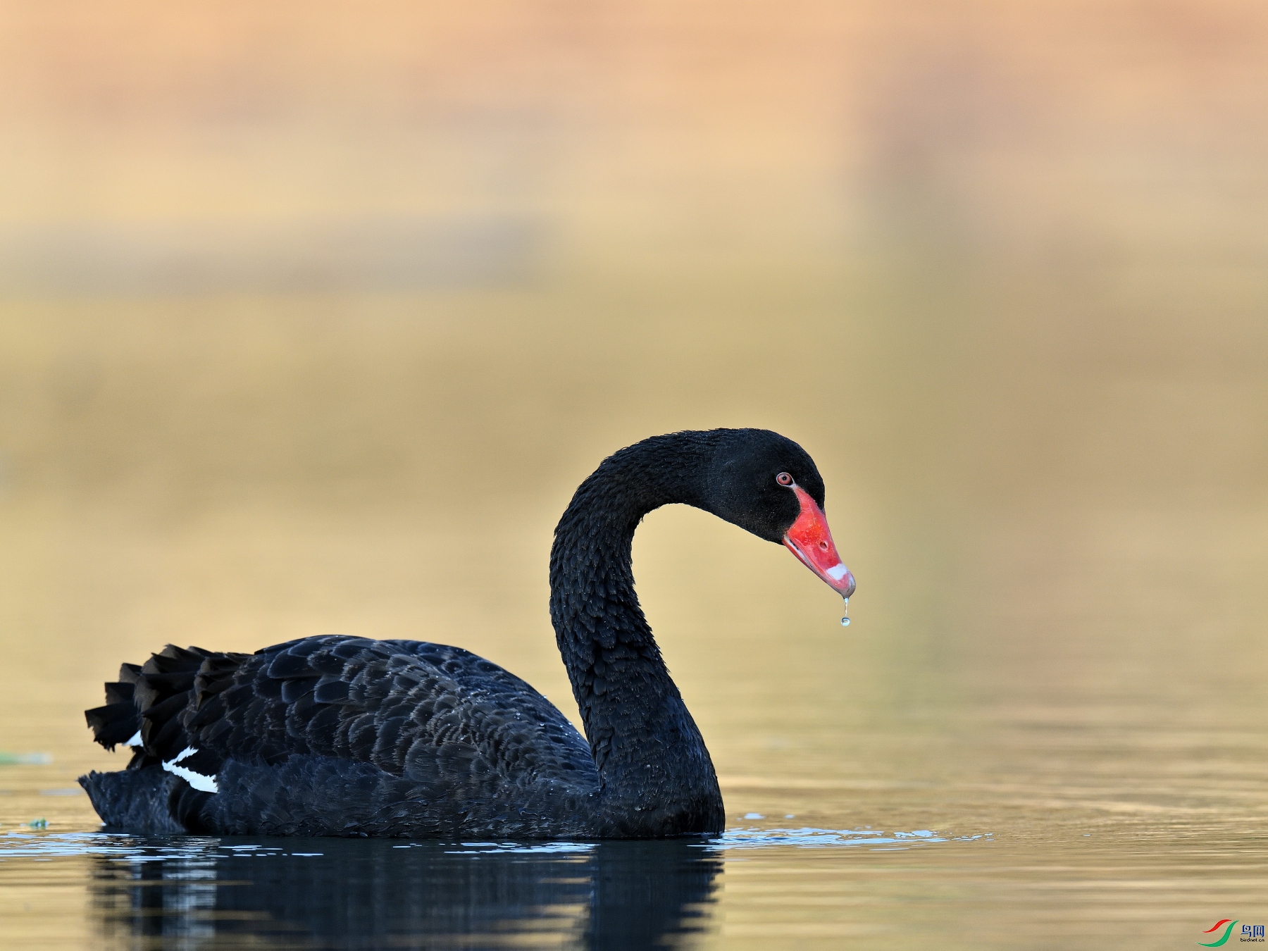 DSC_6362.JPG