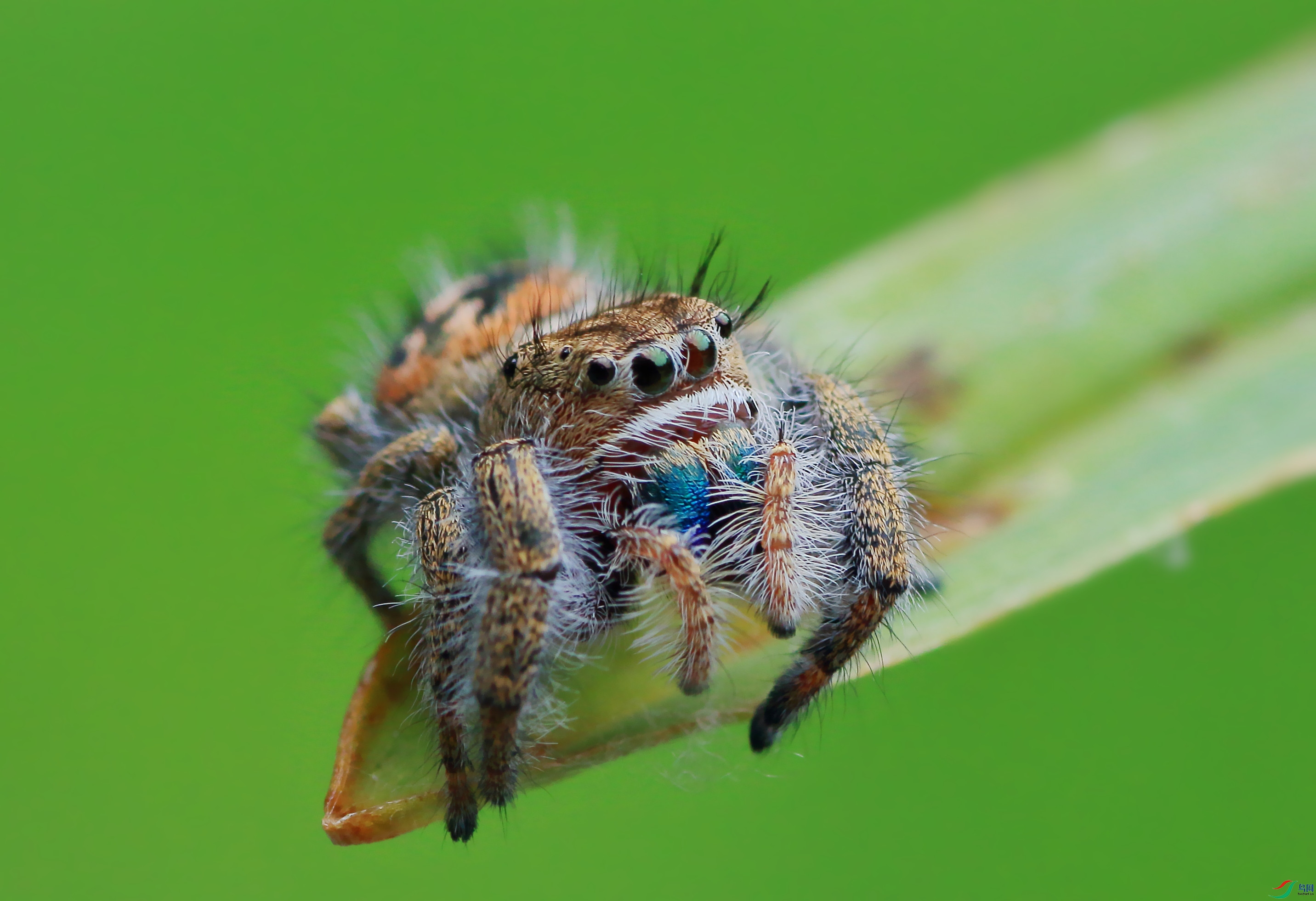 7T8A0018_���� (2).jpg