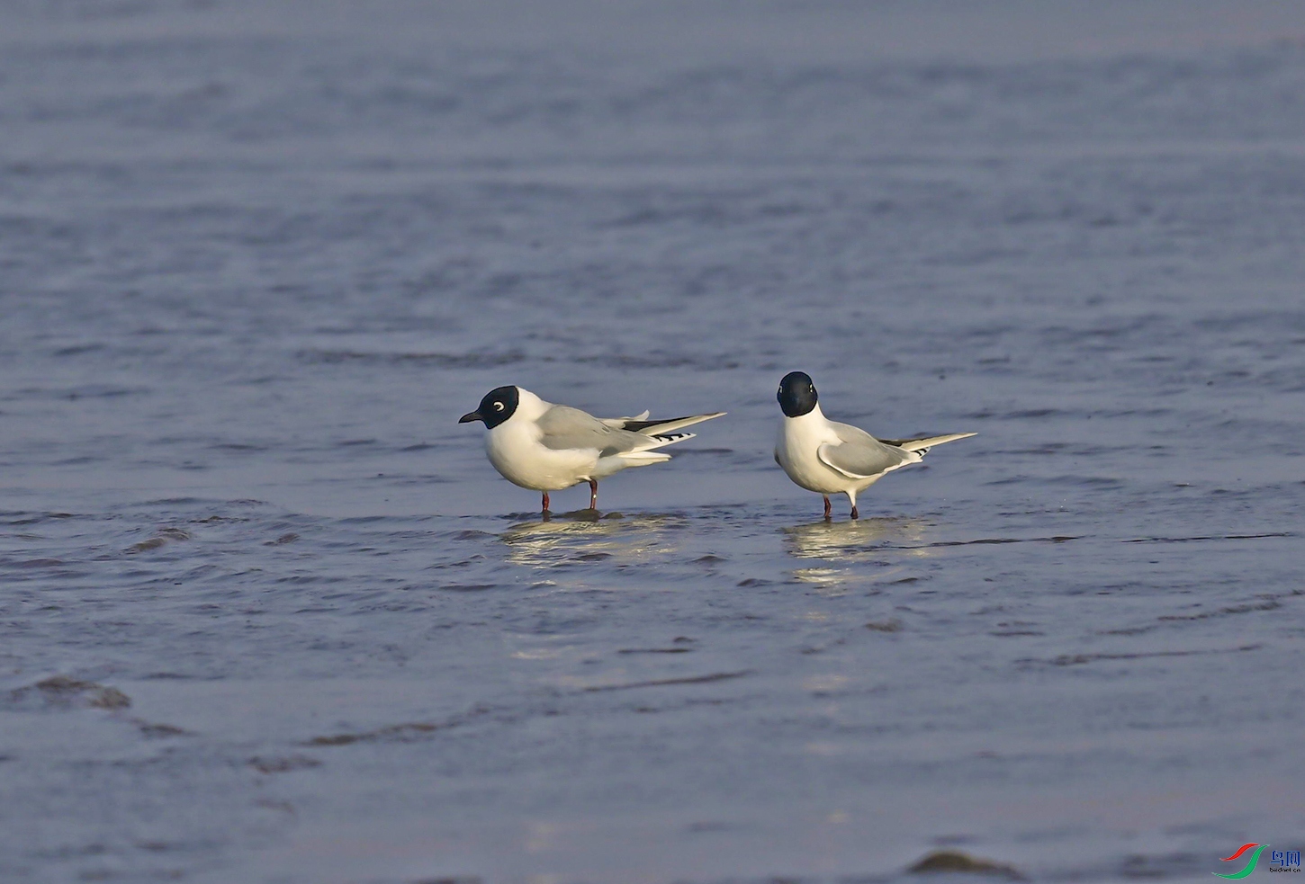 _DSC6484С���.jpg