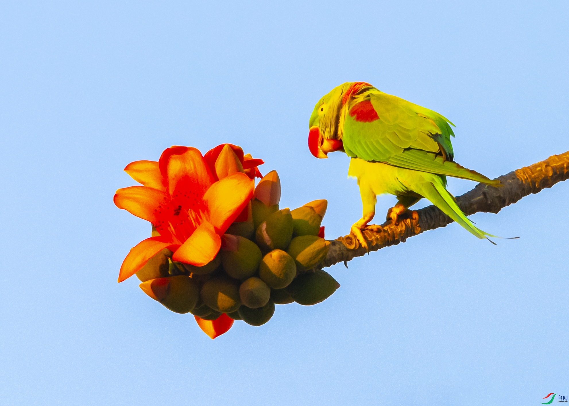 7454 ����.jpg