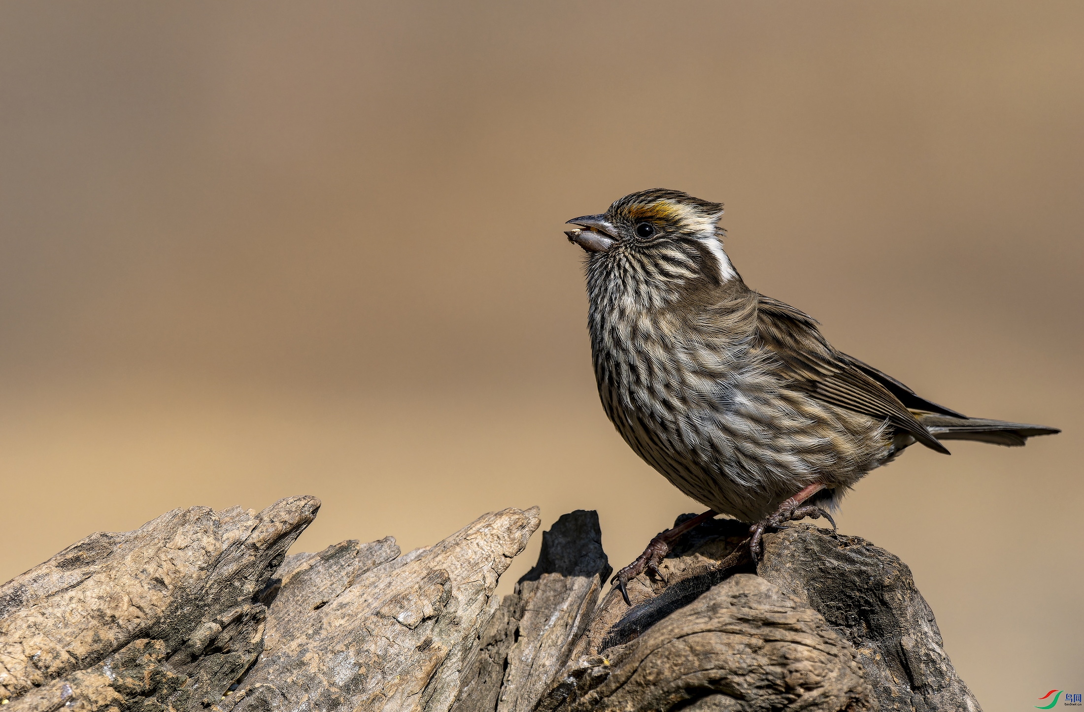 ��ü��ȸ (6).jpg