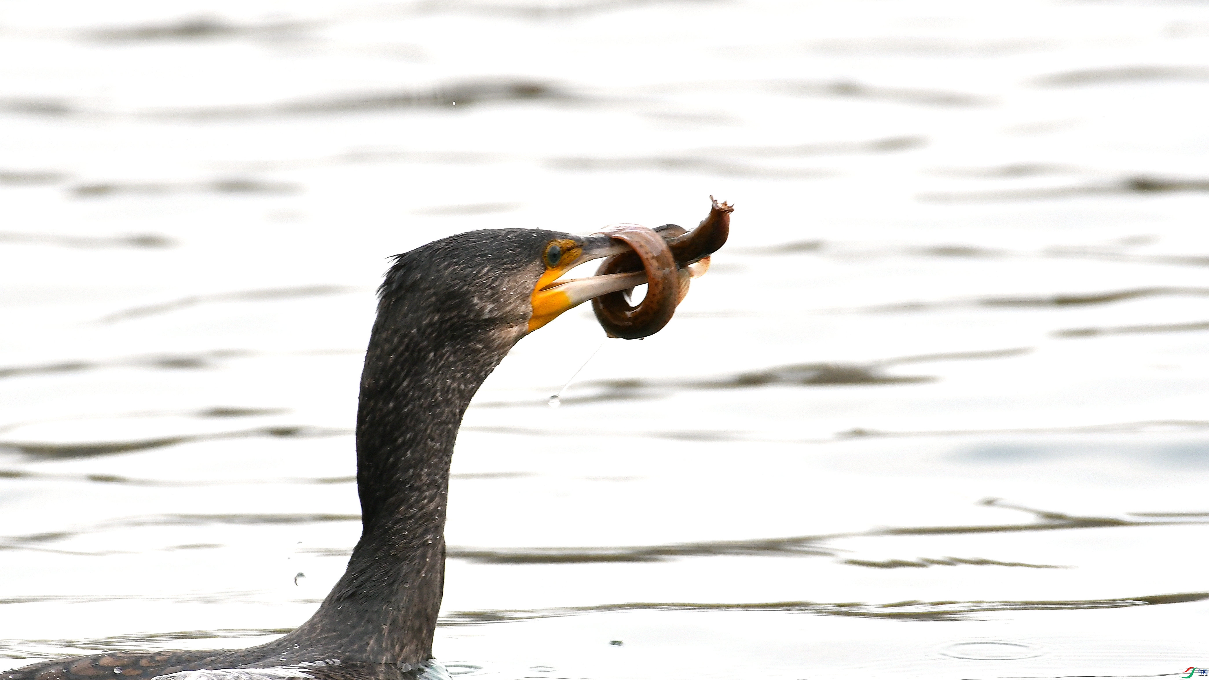 DSC_1645.JPG