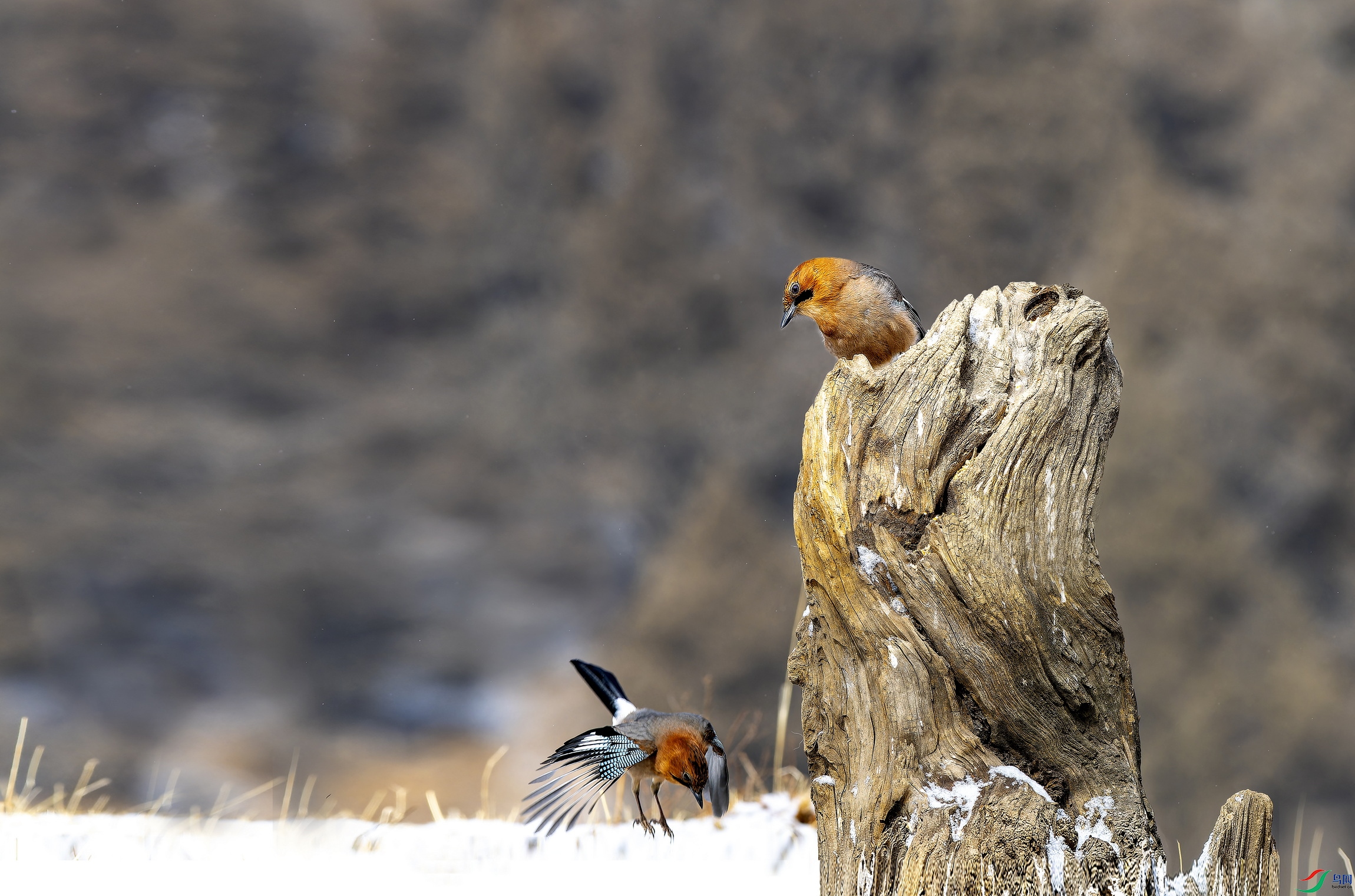 ��ѻ��һ�� (11)-1.jpg
