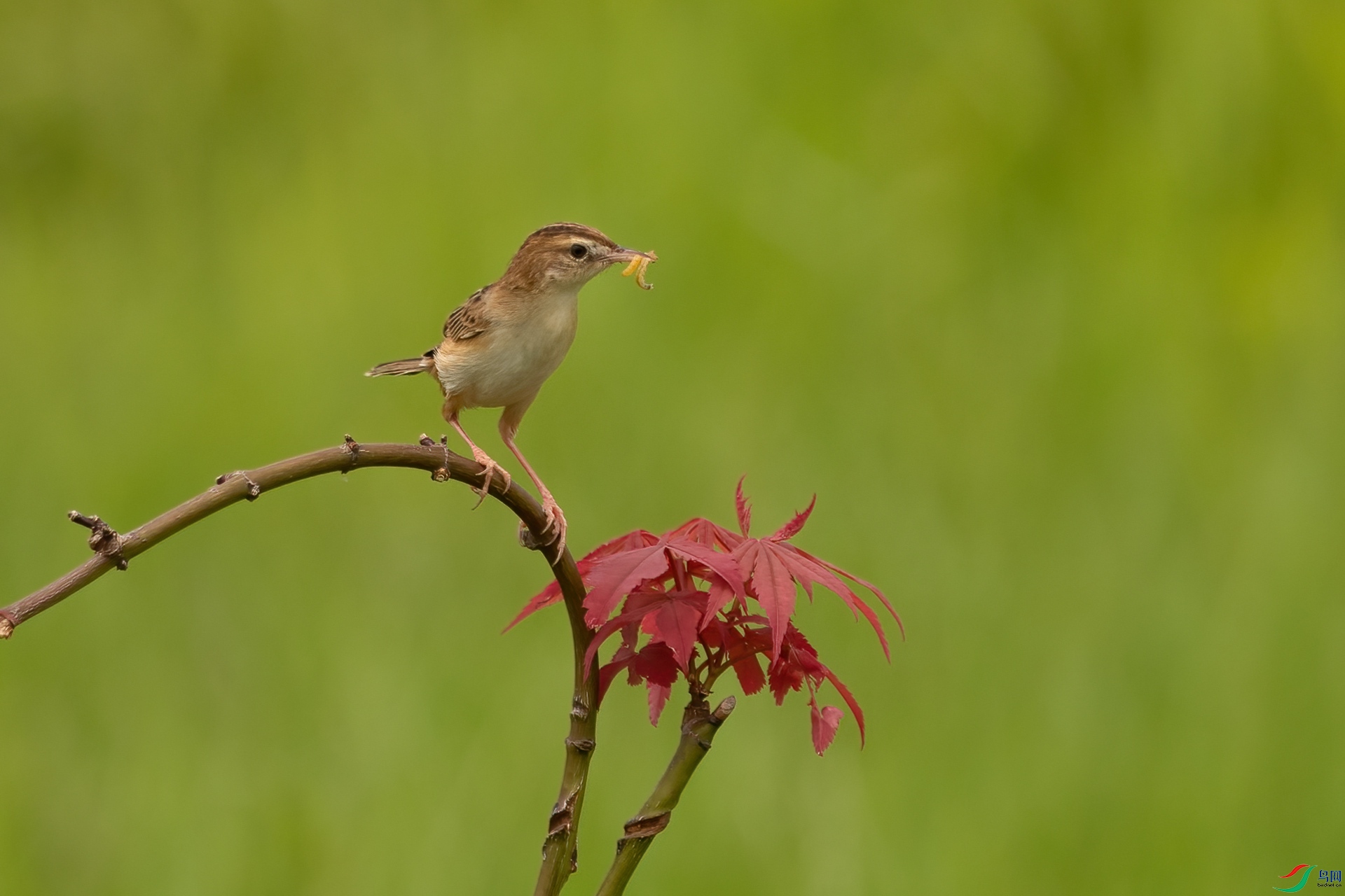 B86I8956 _����.jpg