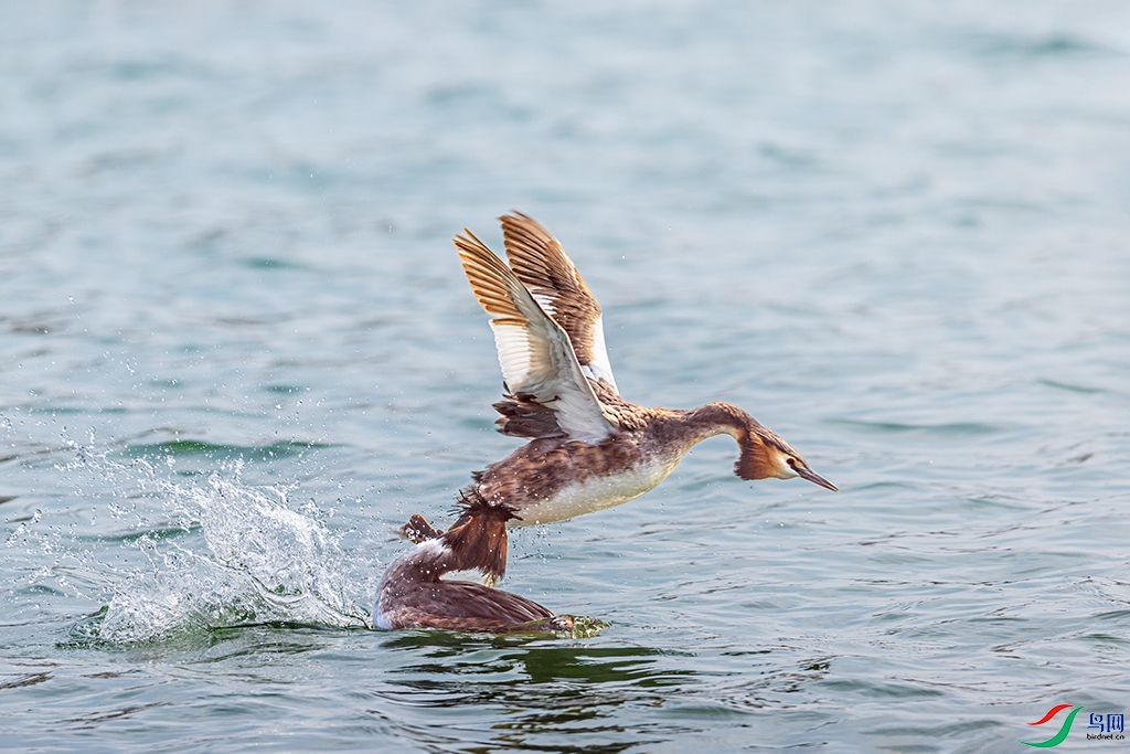 hnsq220220  (8984).jpg