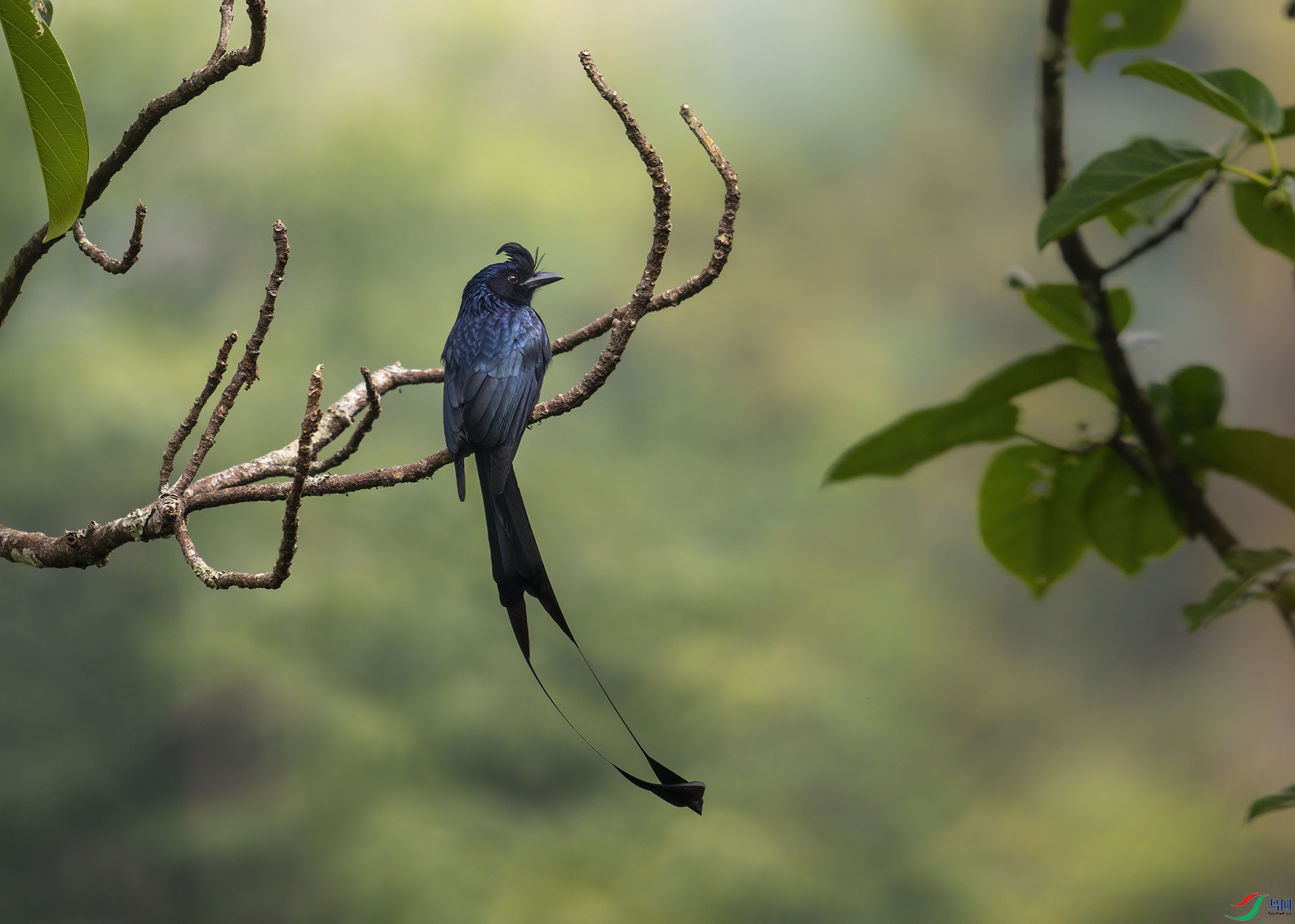 _DSC2243 ����.jpg