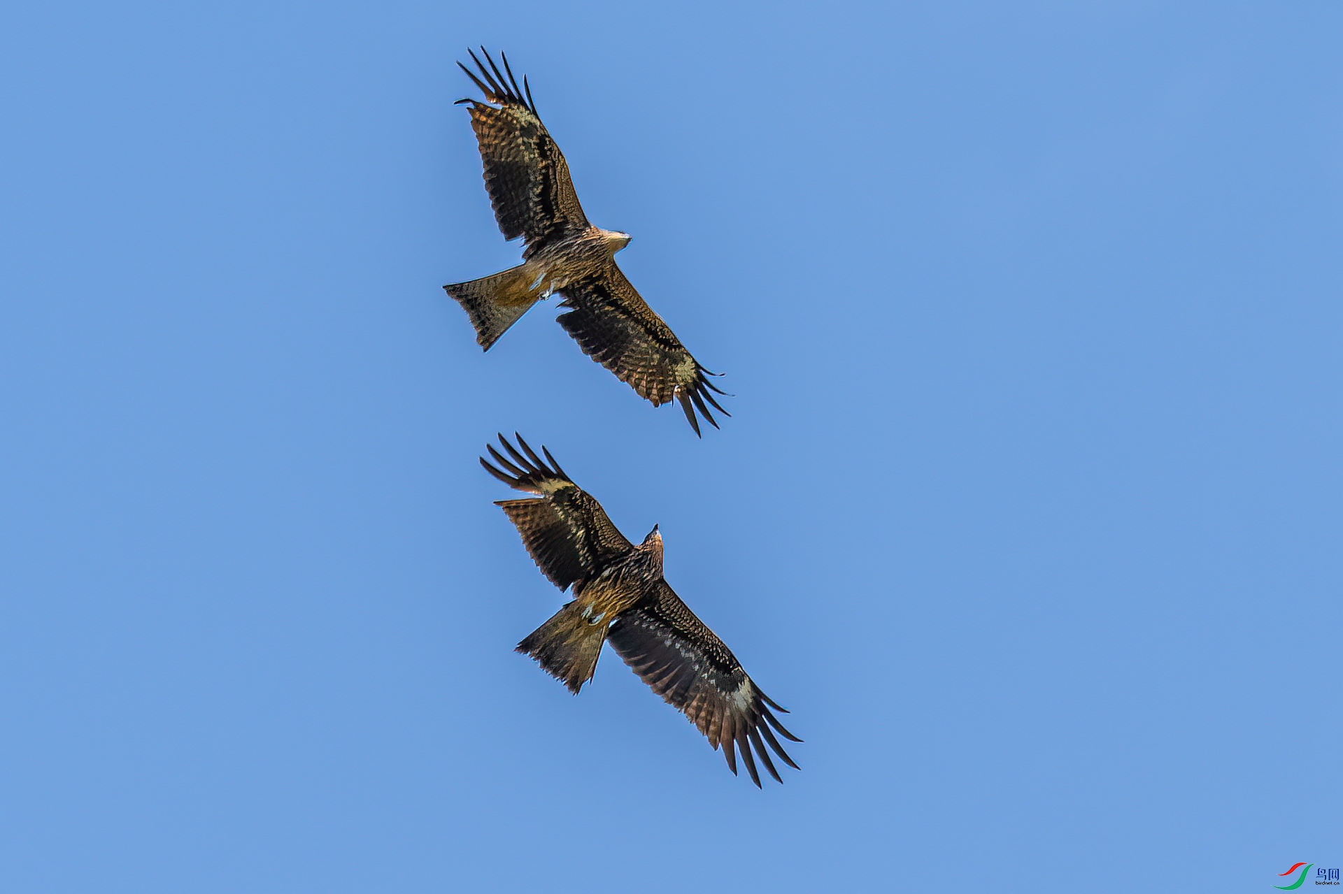 DSC_0232.jpg