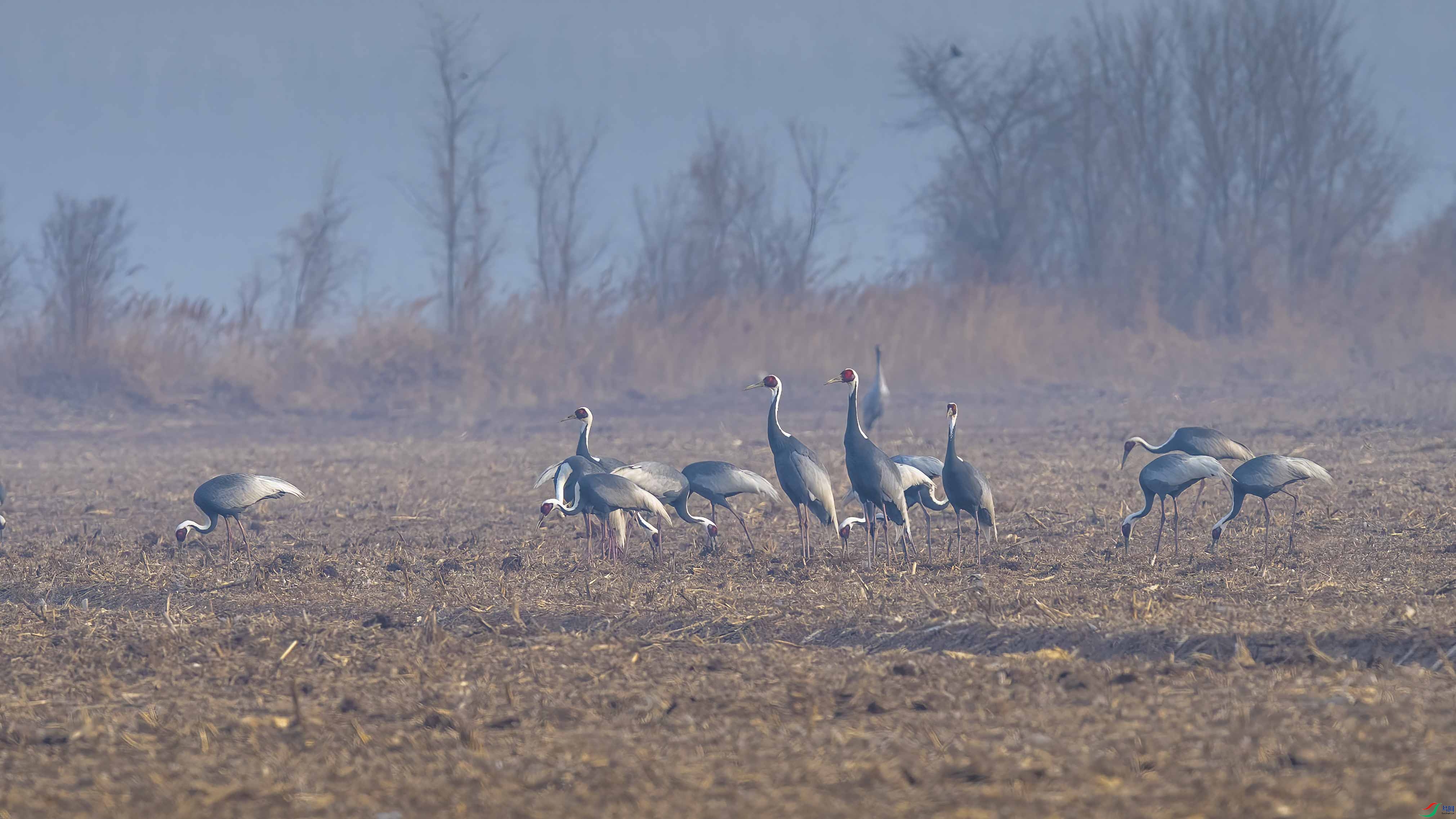 DSC_5671 ����.jpg