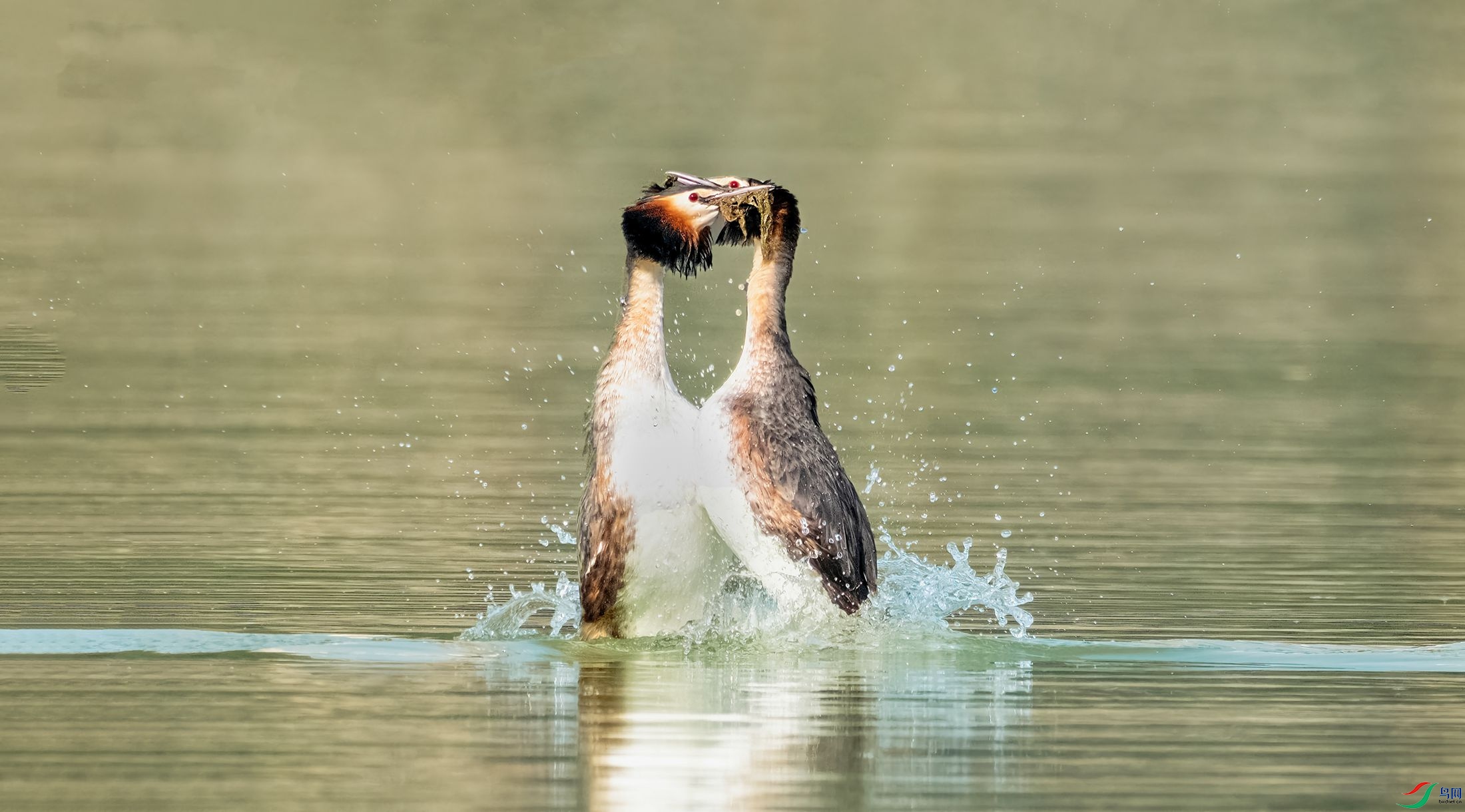 �����е�����