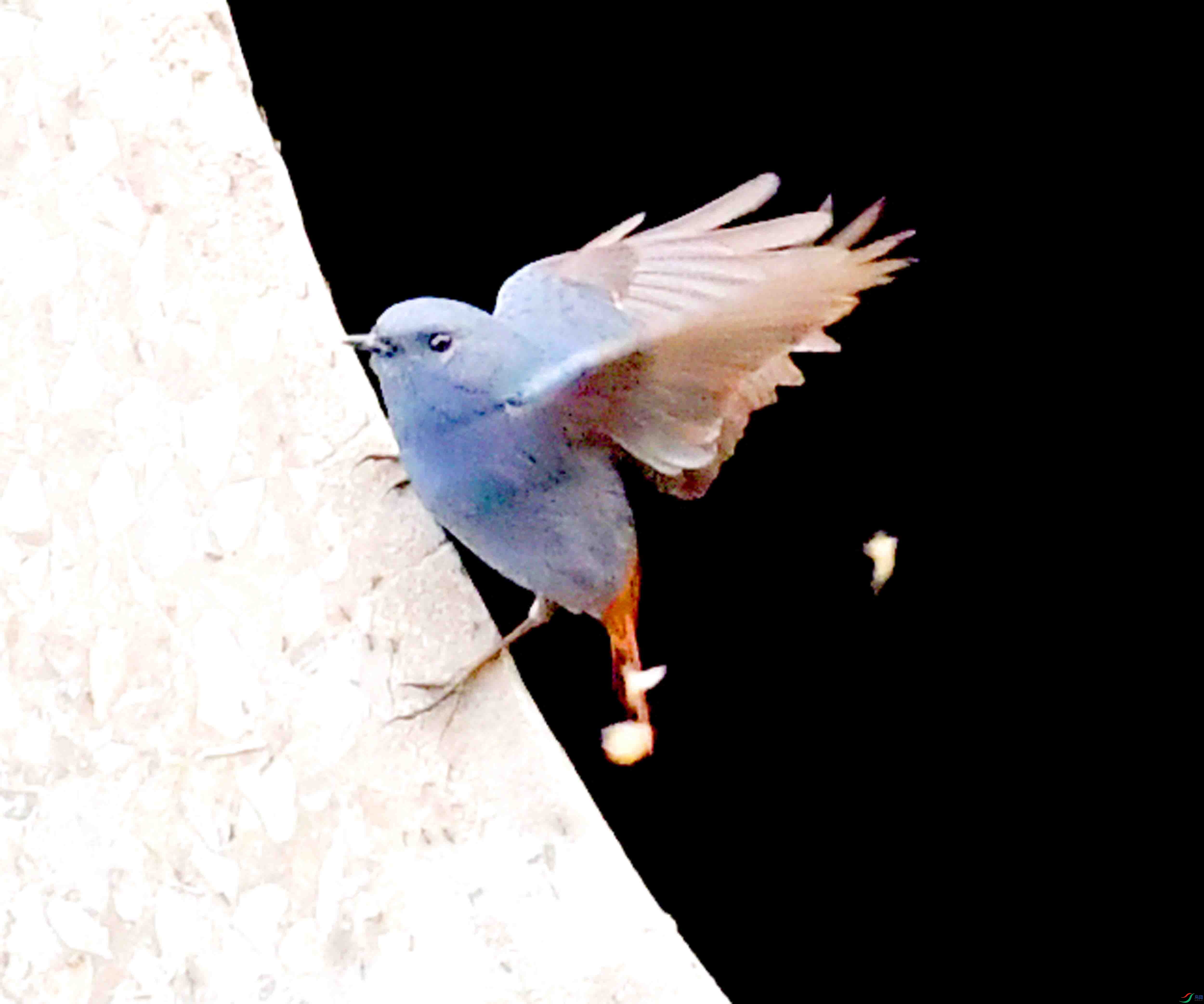 DSC_7287.JPG