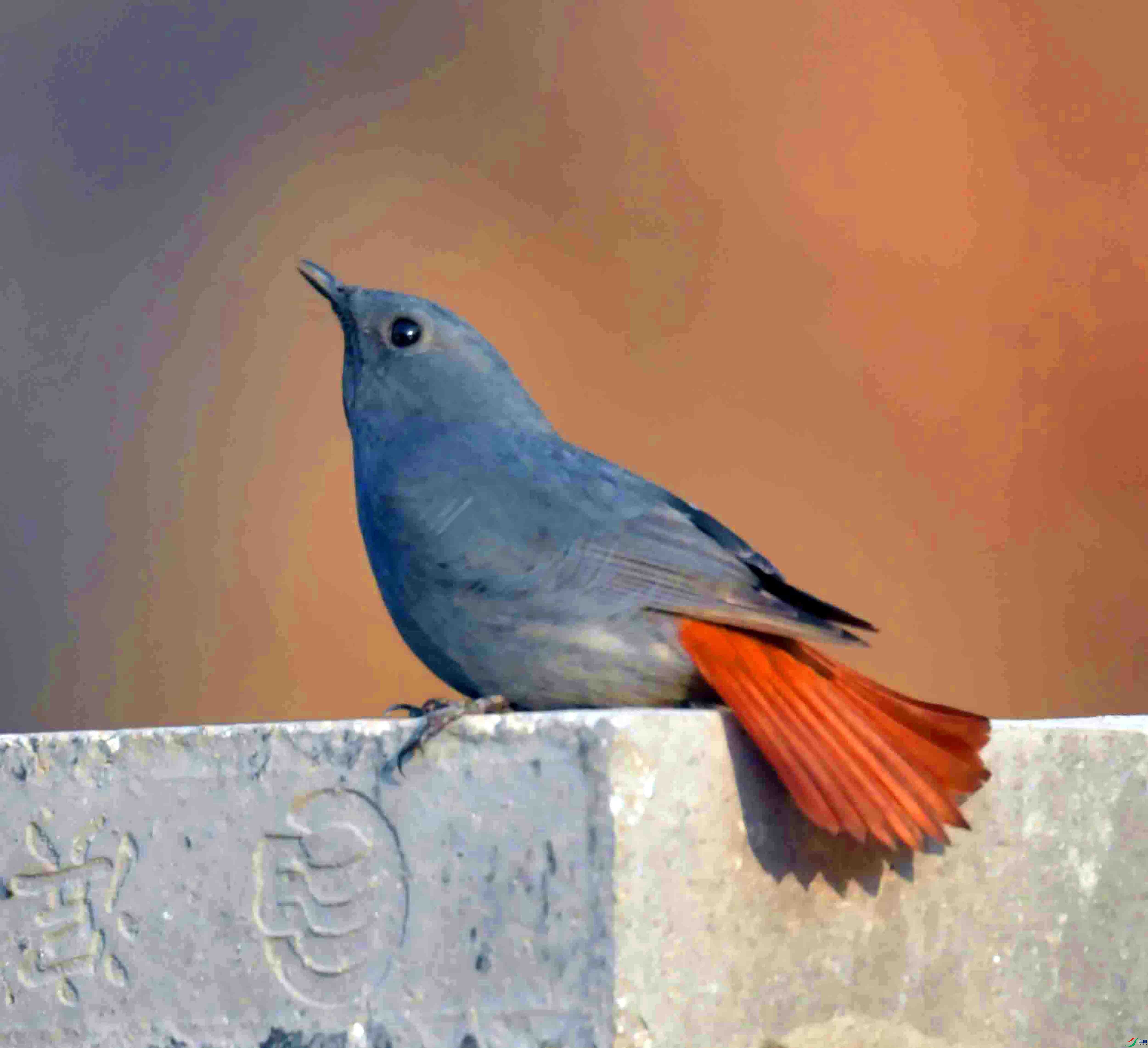 DSC_8705.JPG