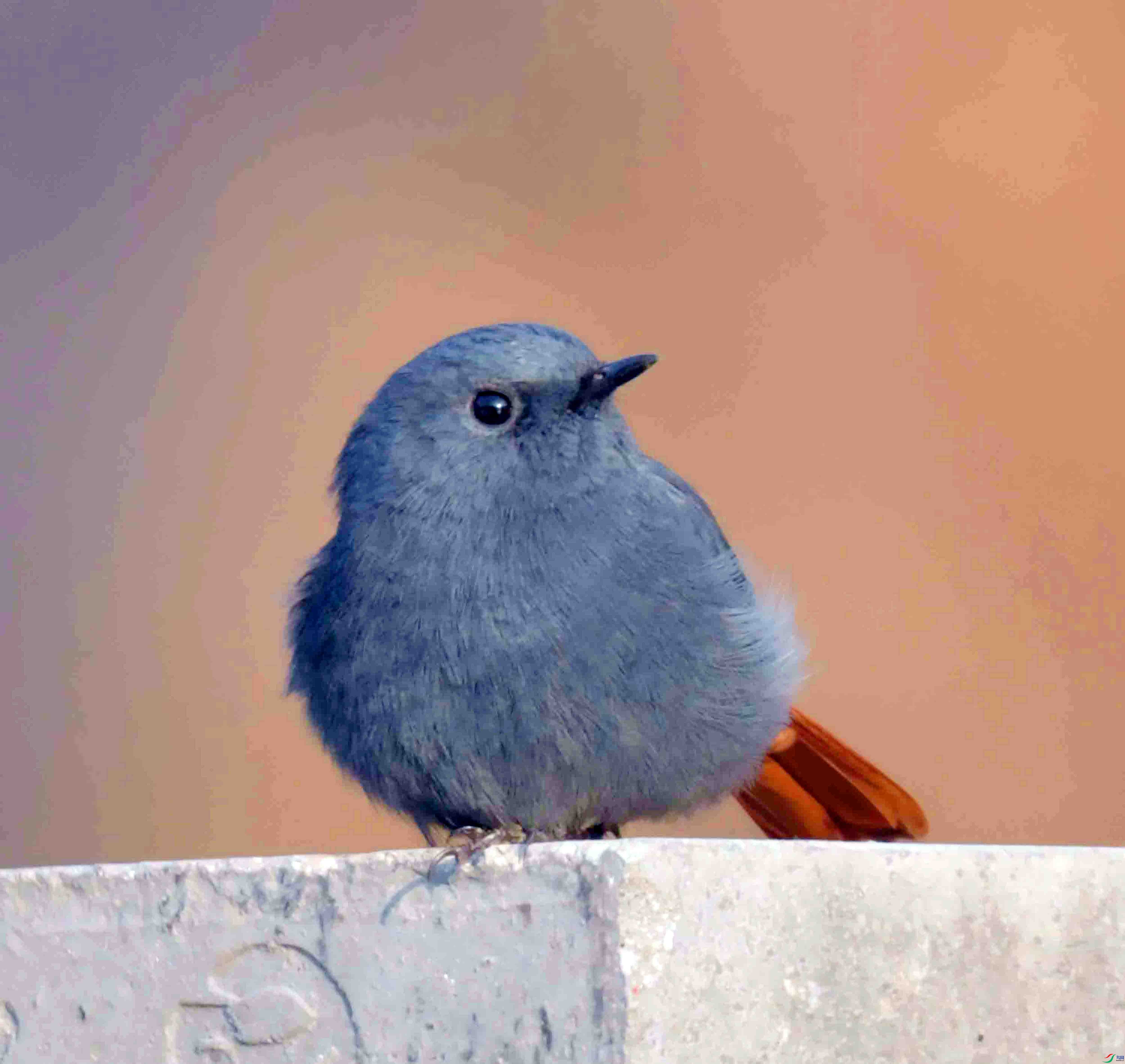 DSC_8765.JPG