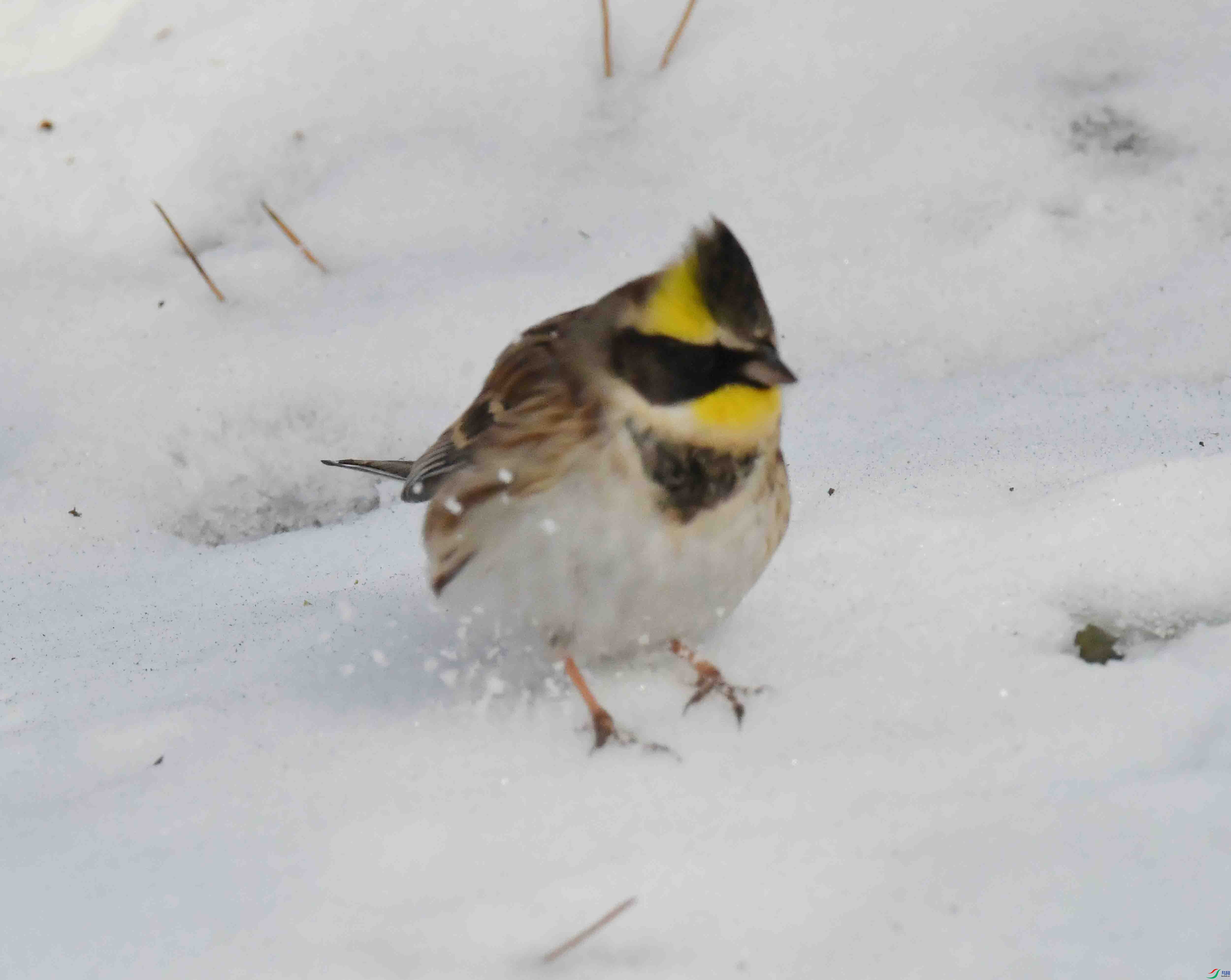 DSC_1859.JPG