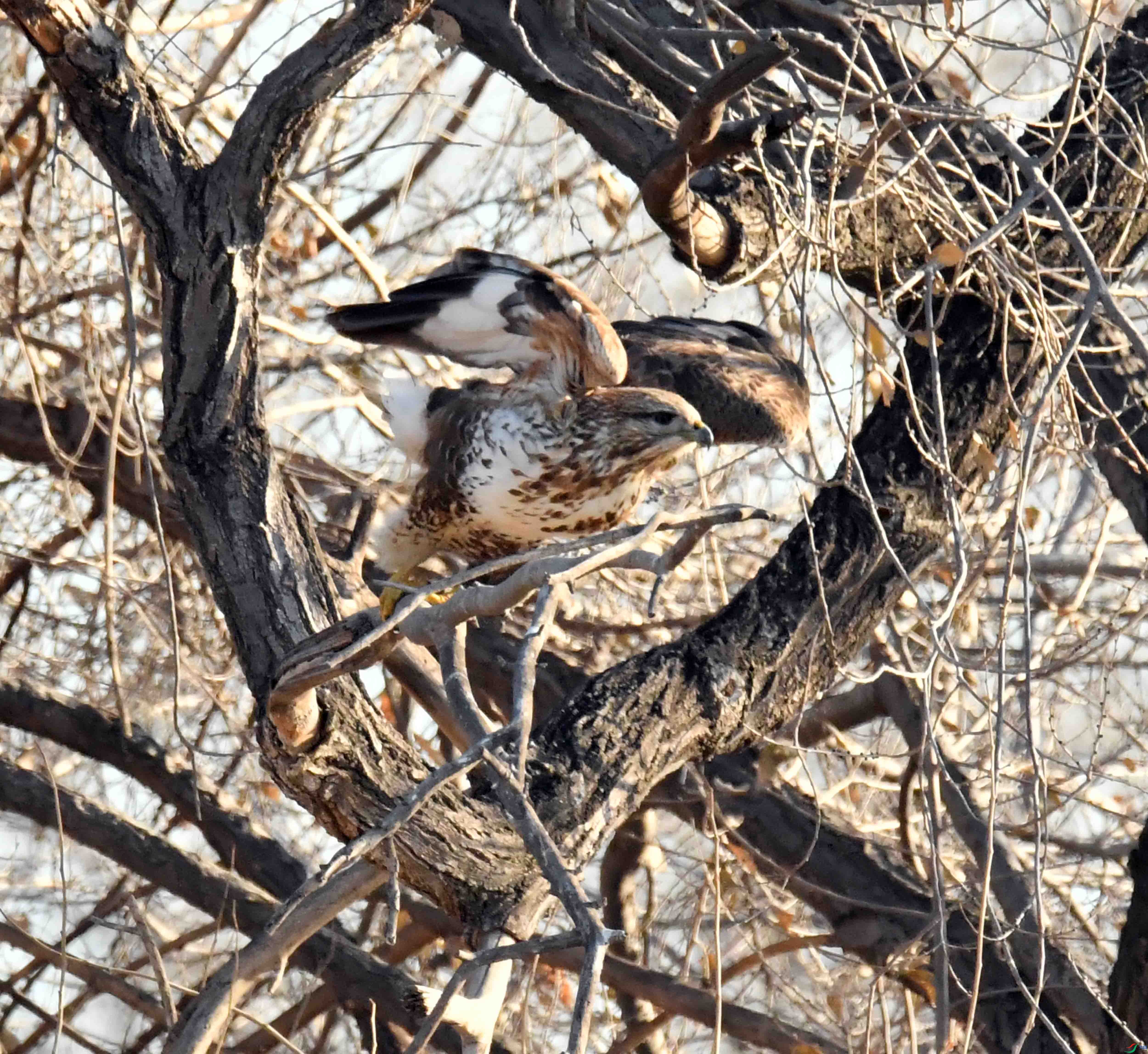 DSC_5387.JPG