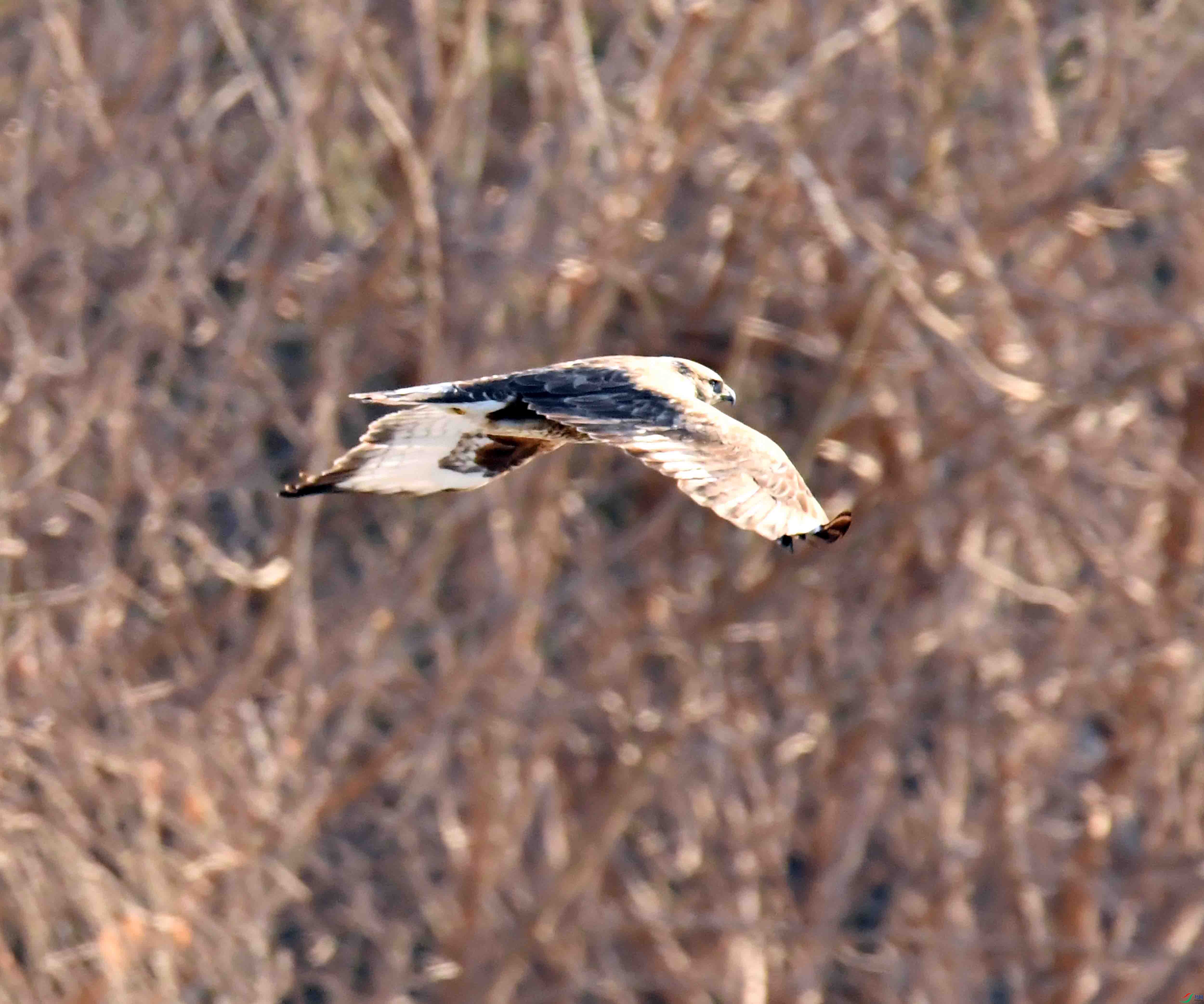 DSC_5399.JPG