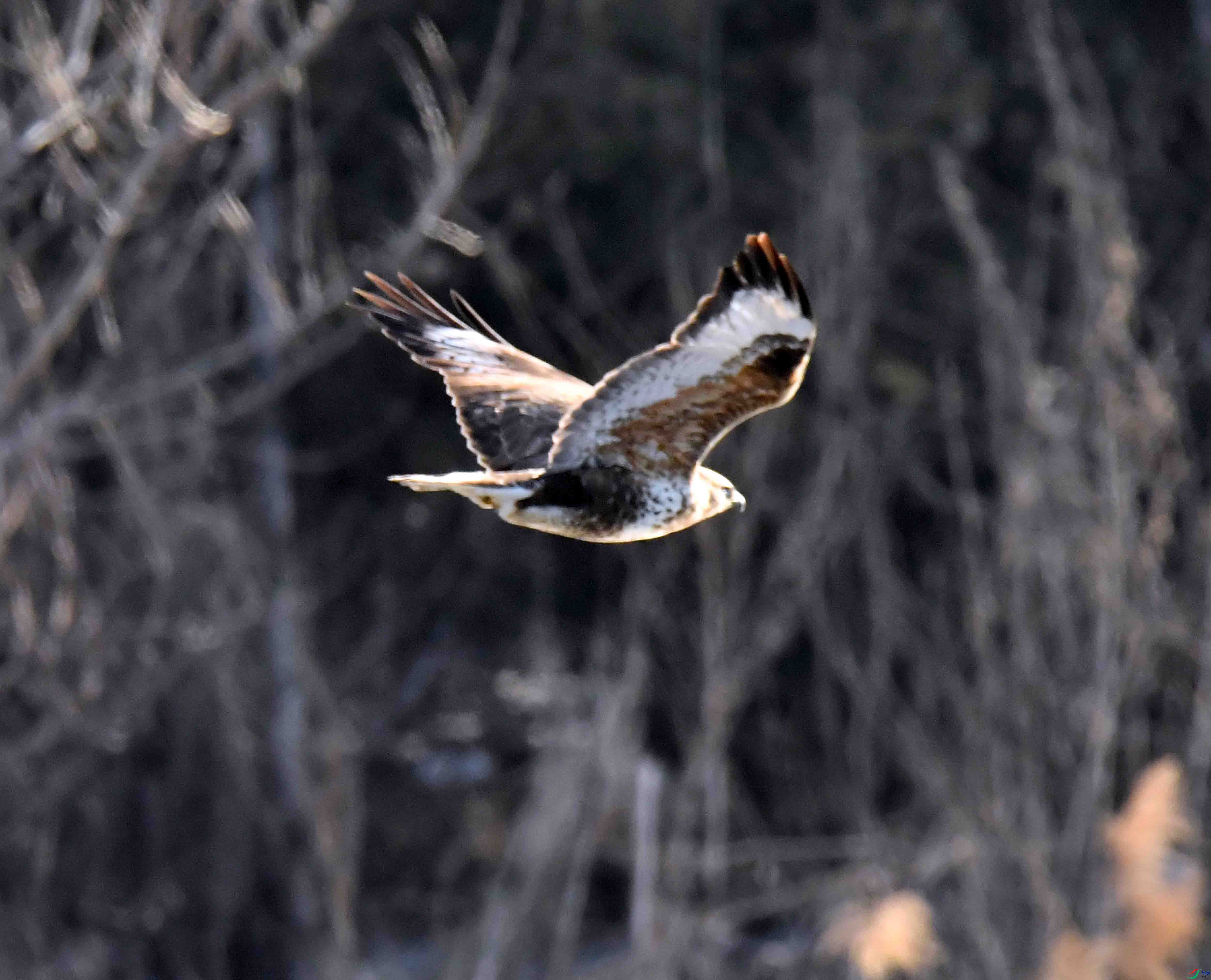 DSC_5400.JPG