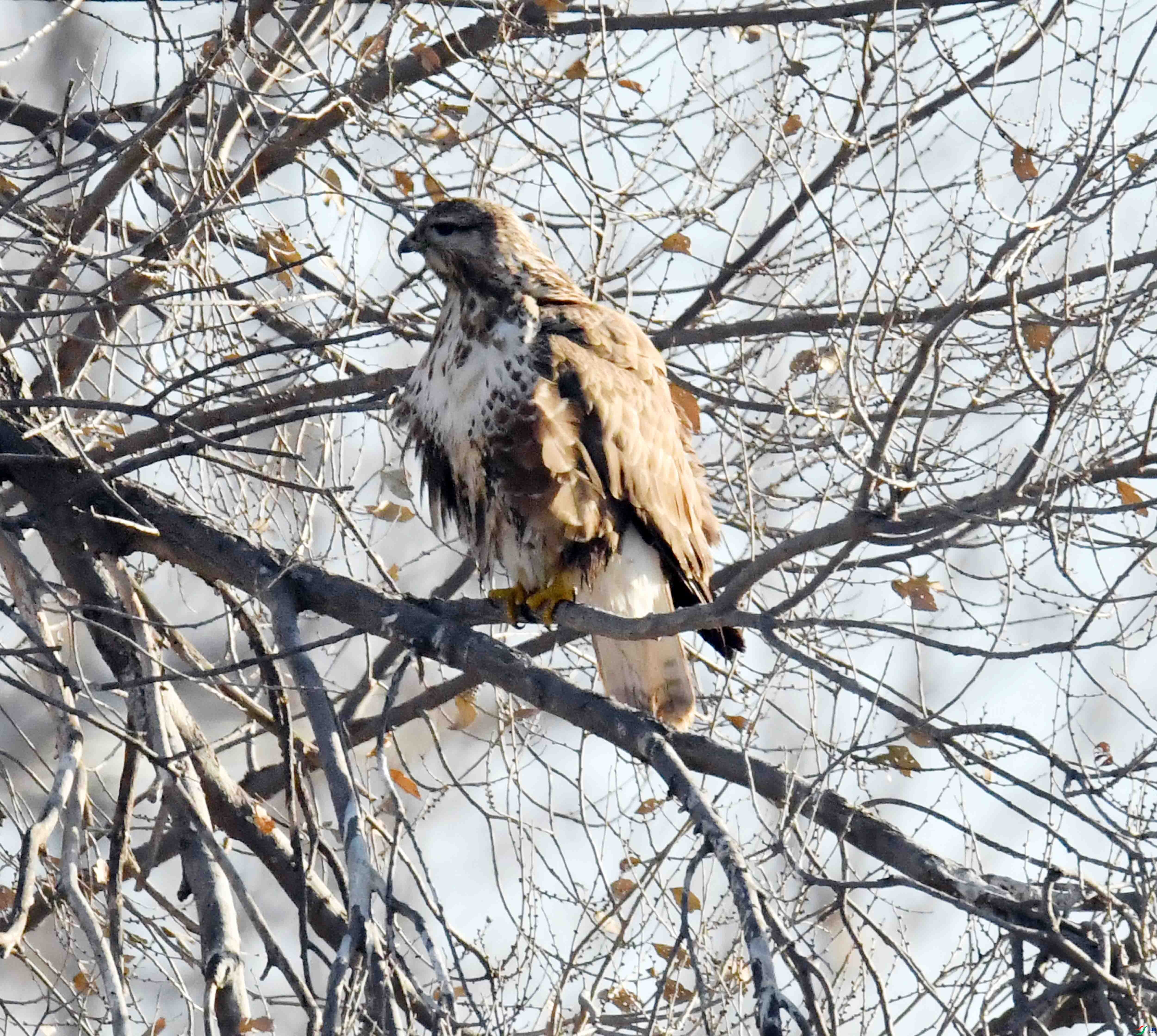 DSC_5431.JPG