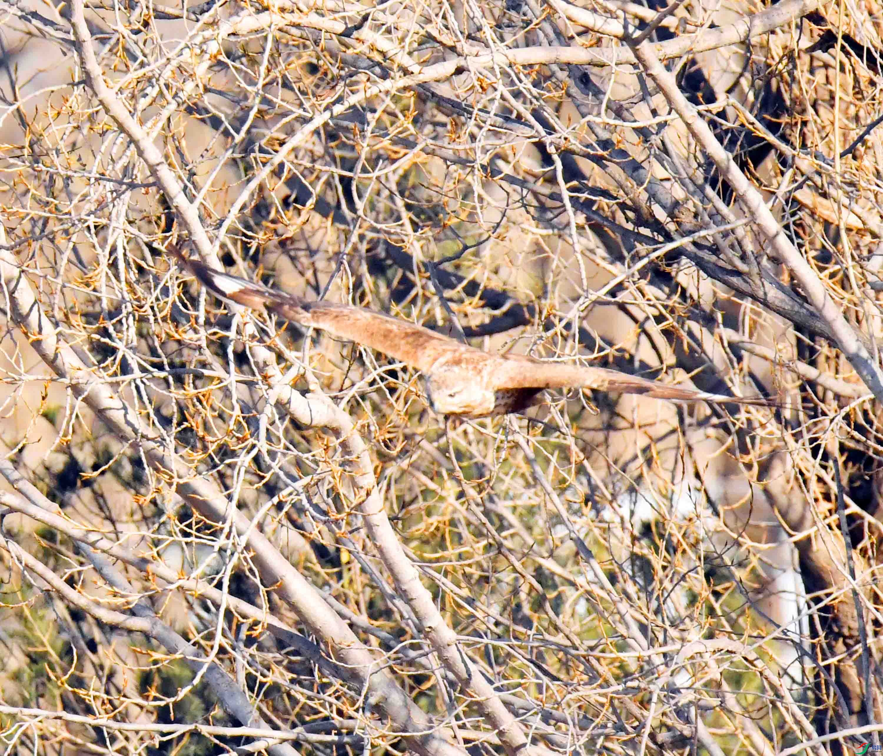 DSC_5845.JPG