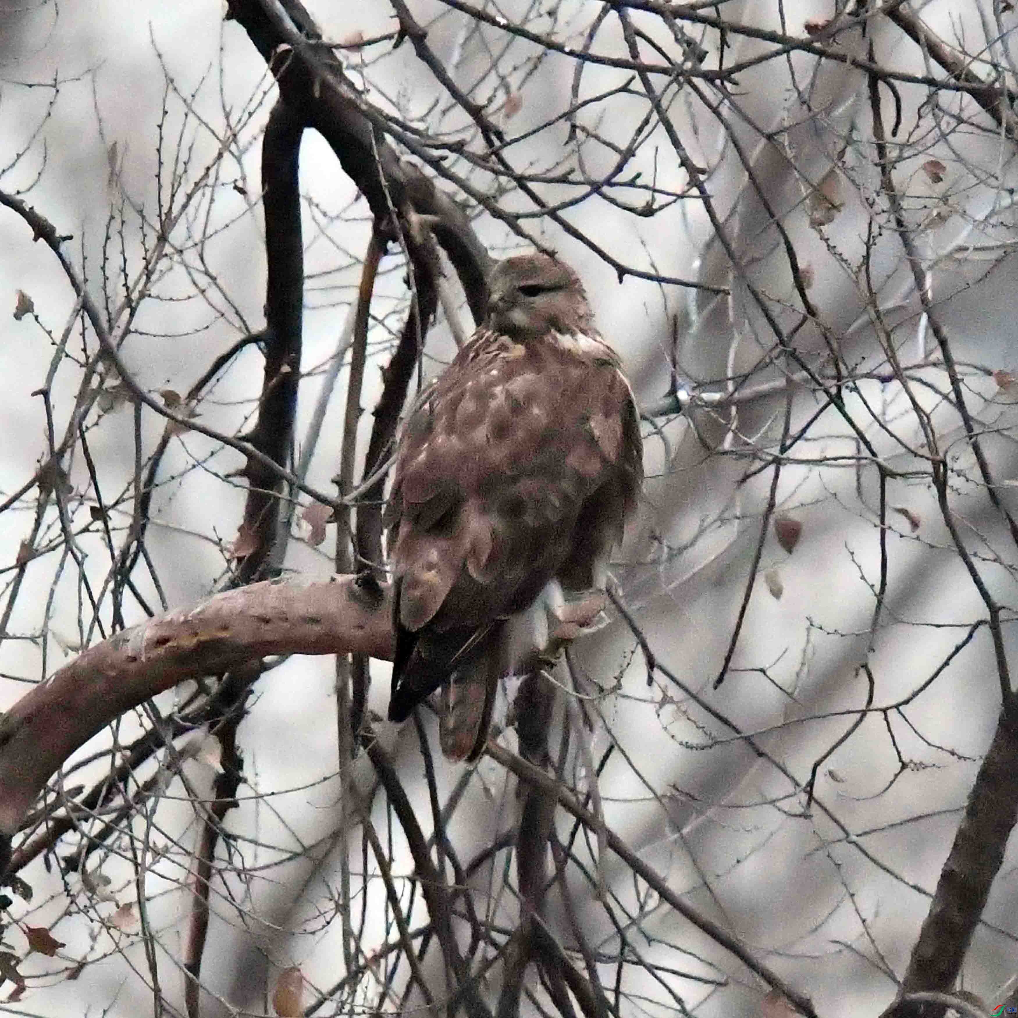 DSC_8330.JPG