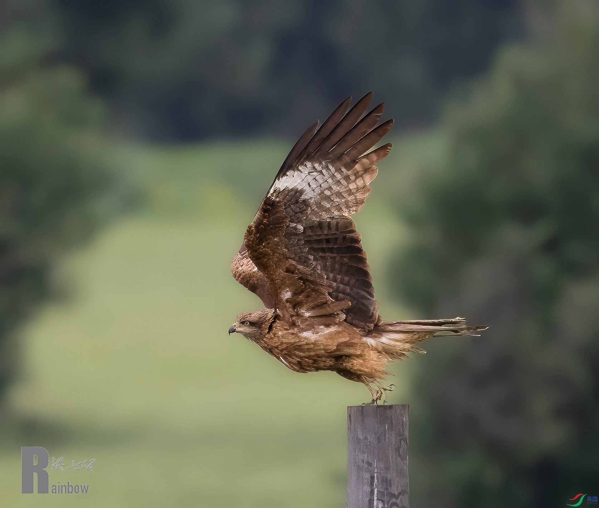 ���翦����