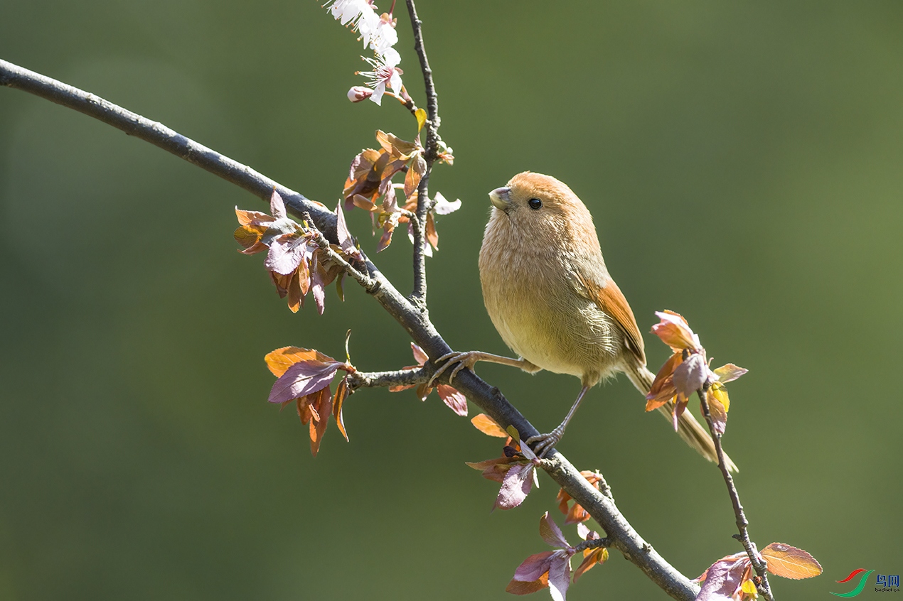 5A7A9755 ����.jpg