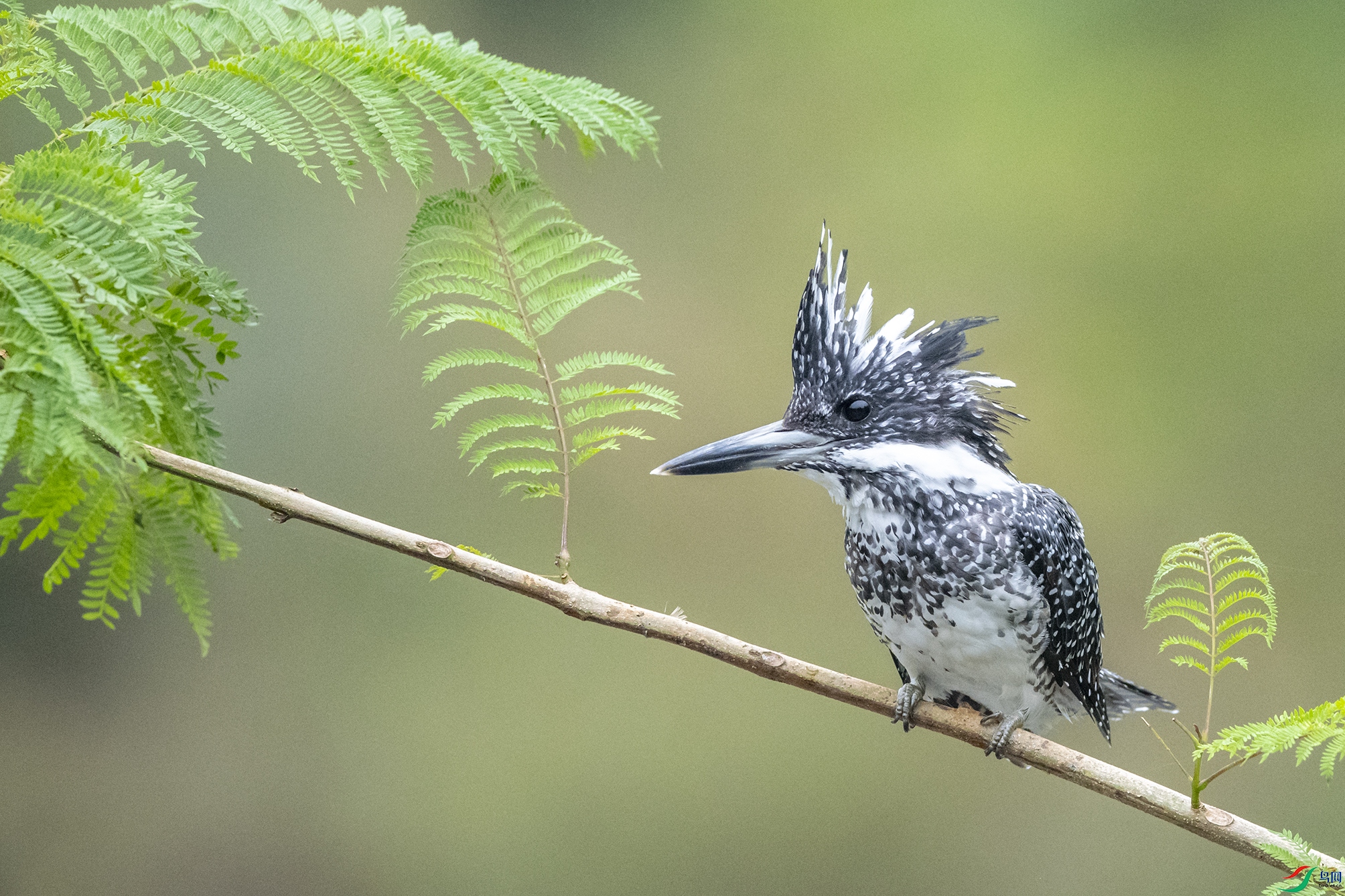 7649 ����.jpg